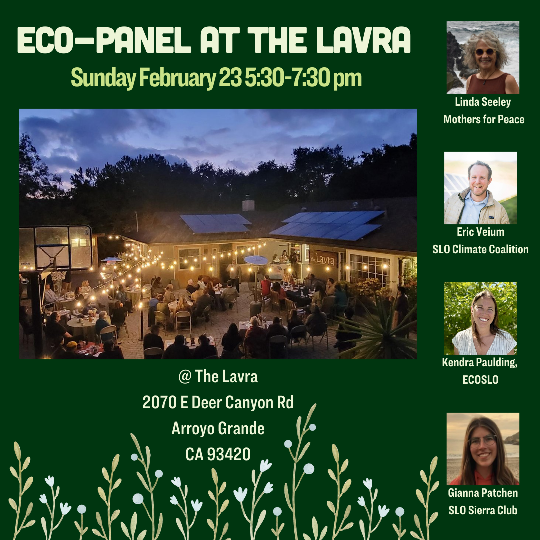 Participatory Circles with environmental local organizations