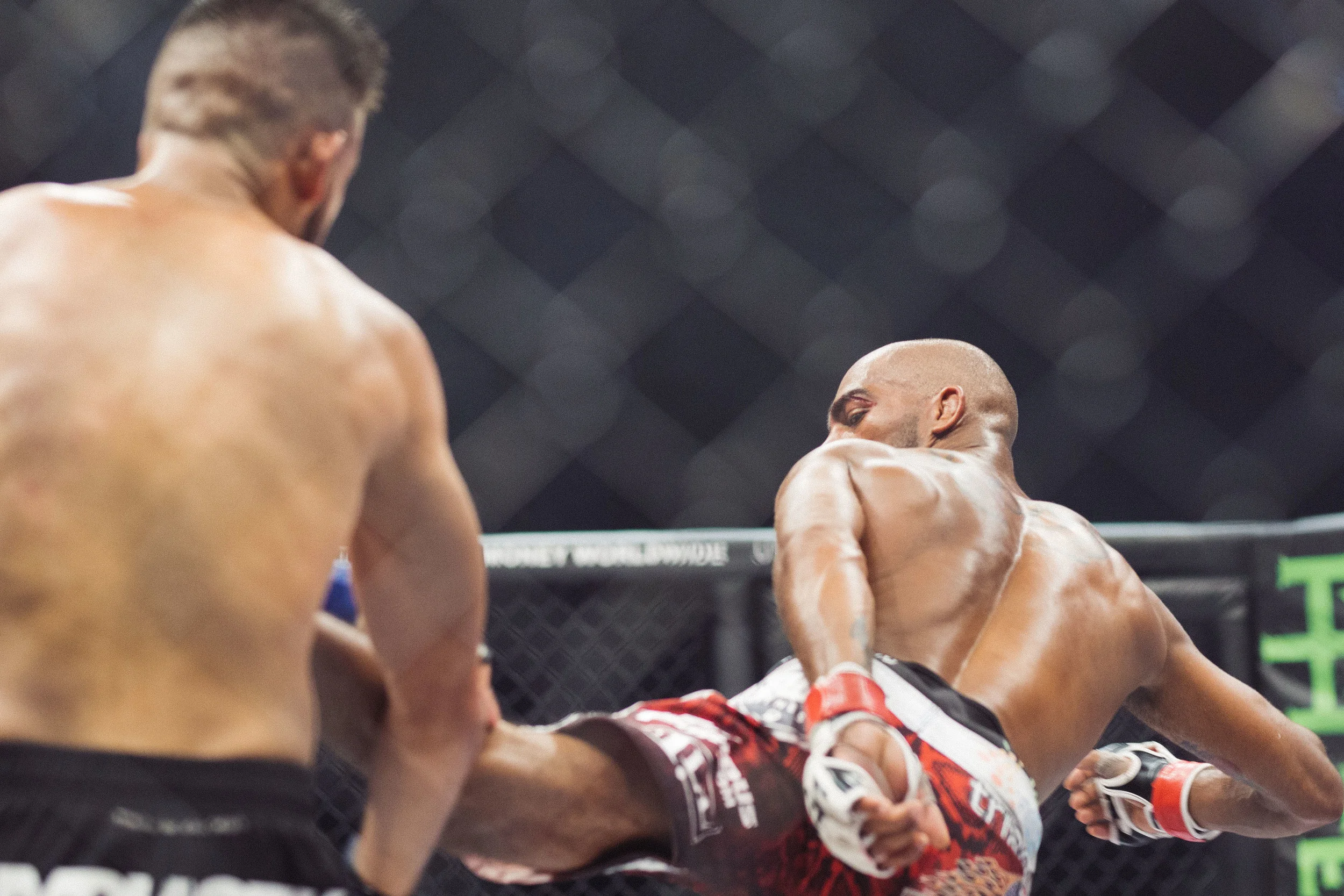 jw-lfa48-final-410.jpg