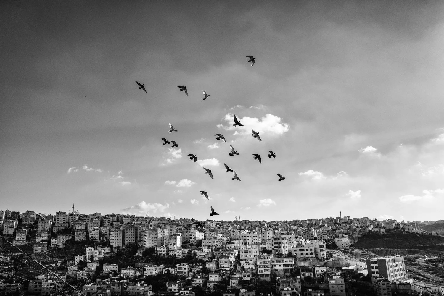 Amman_112123-02-Edit-Edit.jpg