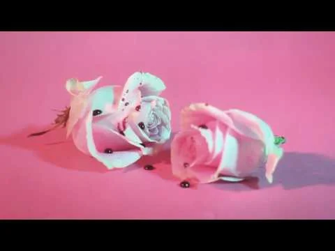 Foie Gras-Devotee (Copy)