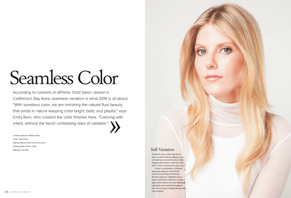 Kristin_Cofer_Modern_Salon1.png