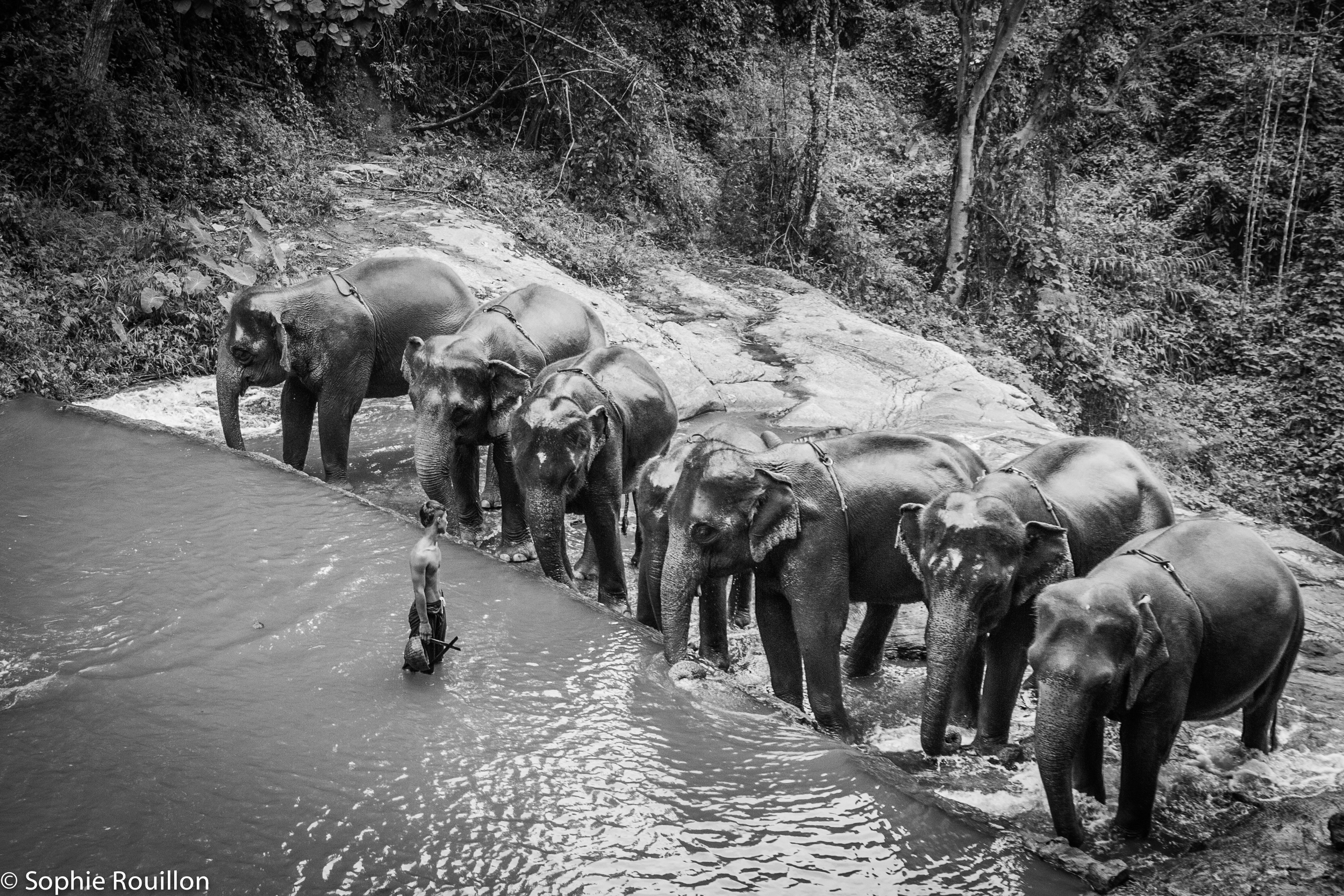 Chiang Mai - Thailand 2013