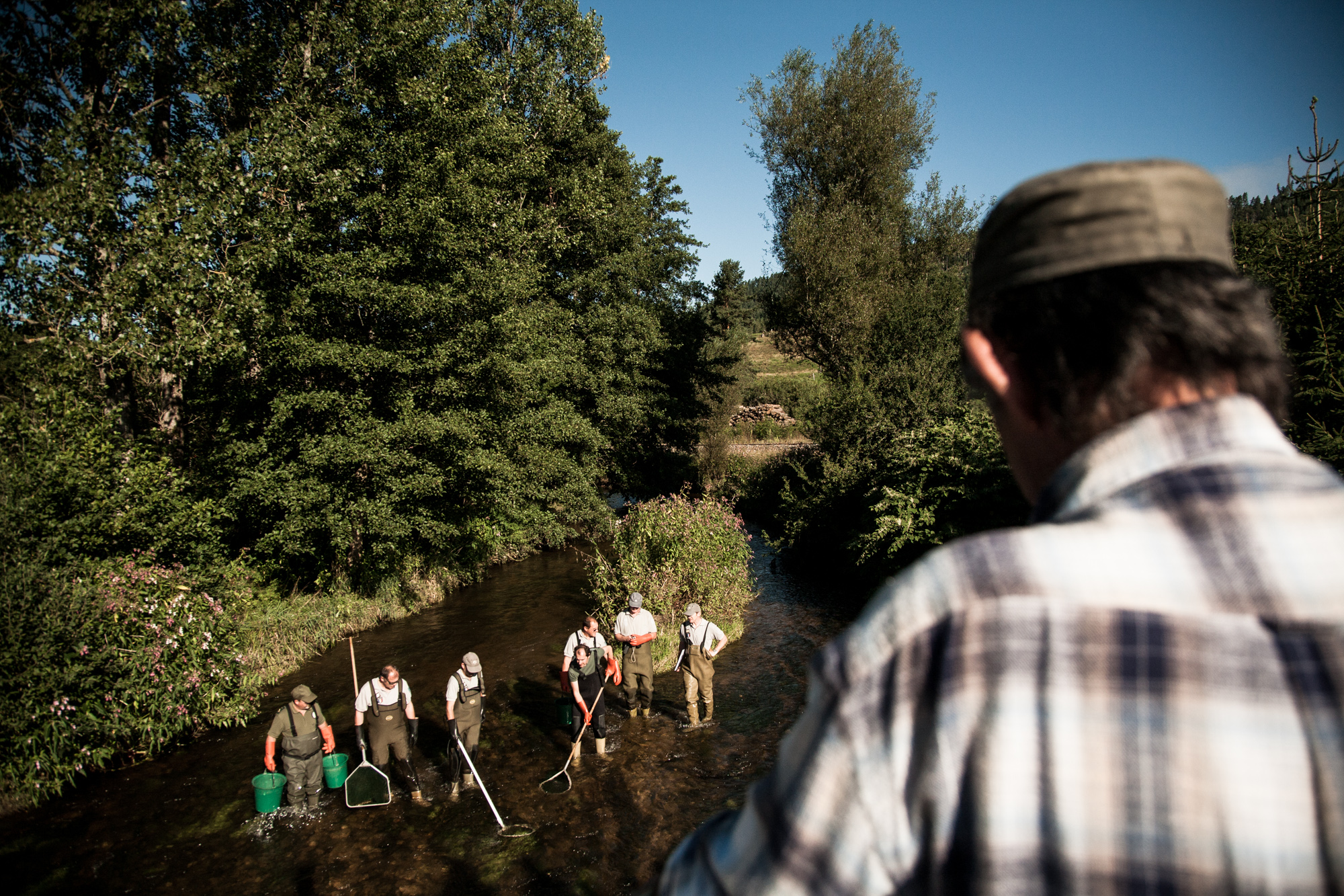  26 août 2010. Rivière du Neuné.&nbsp;Laveline-devant-Bruyères est traversée par le Neuné et la Vologne. Une équipe de l’Office National de l’Eau et des Milieux Aquatiques (ONEMA) recense les poissons dans le Neuné au cours d’une pêche électrique. 