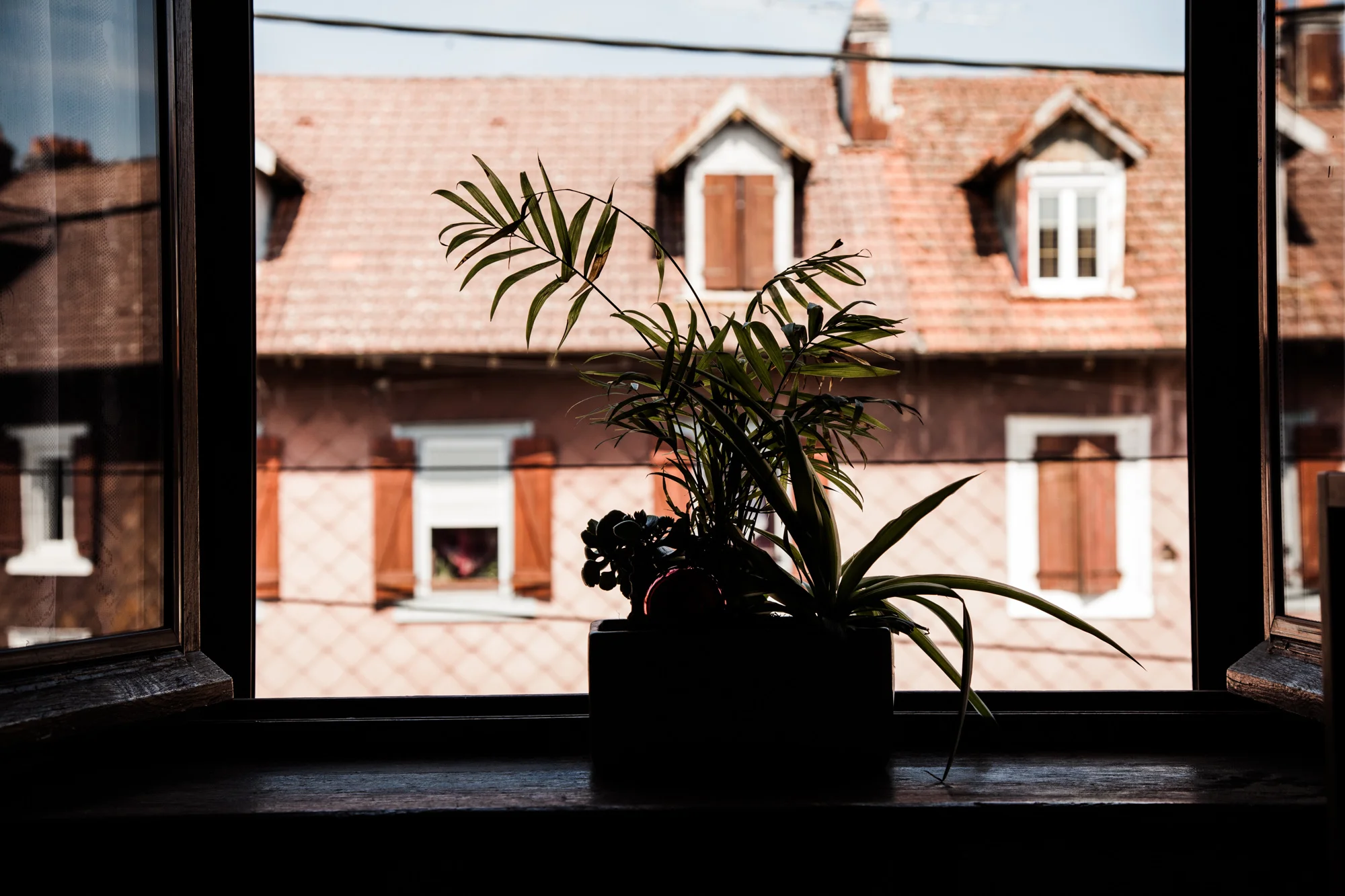9 Juillet 2013. Rue de la Vologne, depuis chez Jacky. Extrait du projet webdocumentaire Les Pieds dans la France , co-réalisé avec Stéphane Doulé et Camille Millerand.