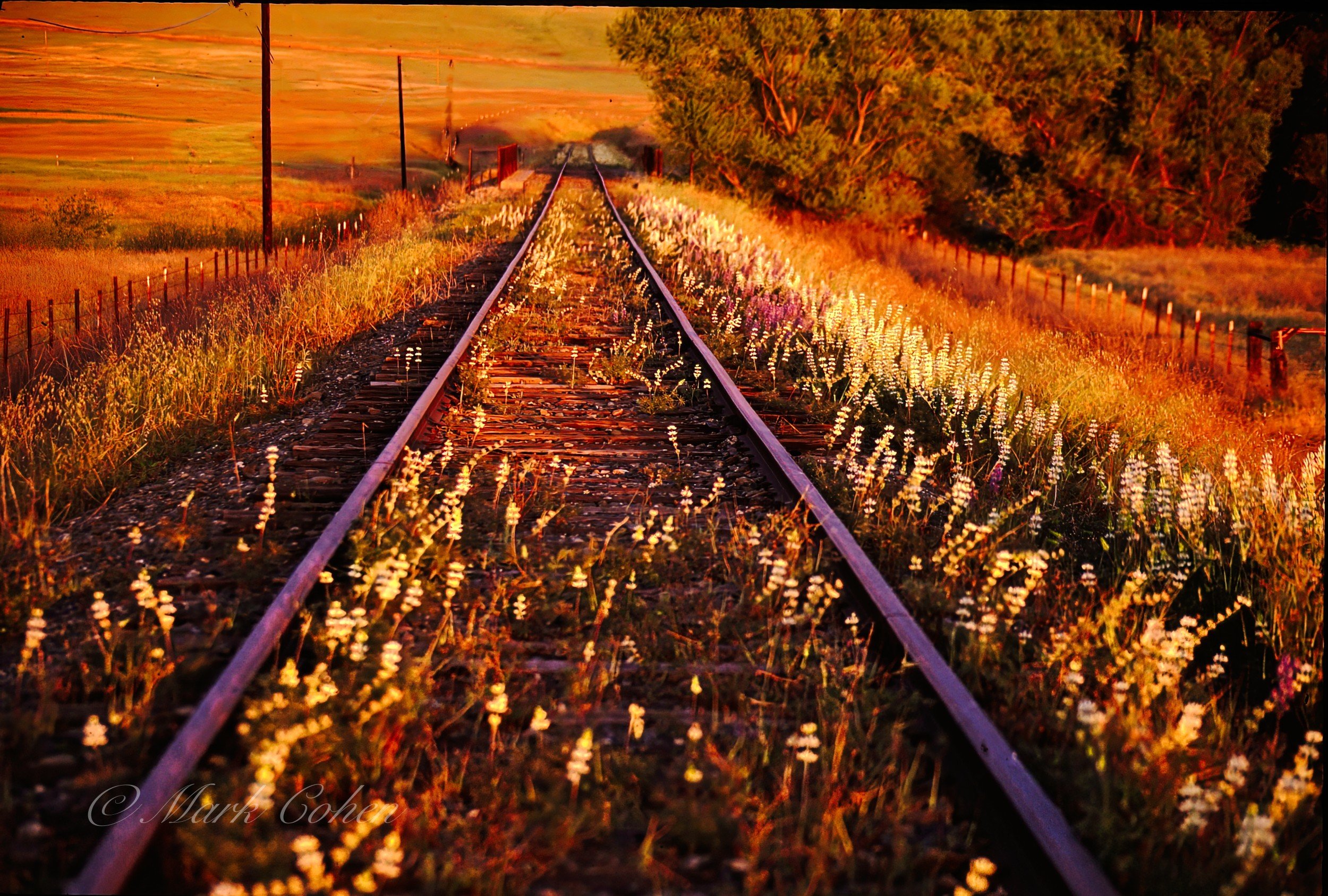 Abandoned rail, Folsom  2012.jpg