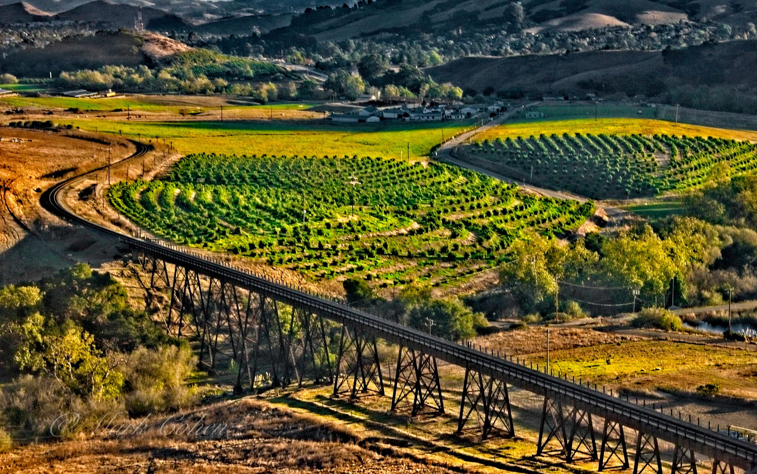 Tracks and vineyards, California  2005.jpg