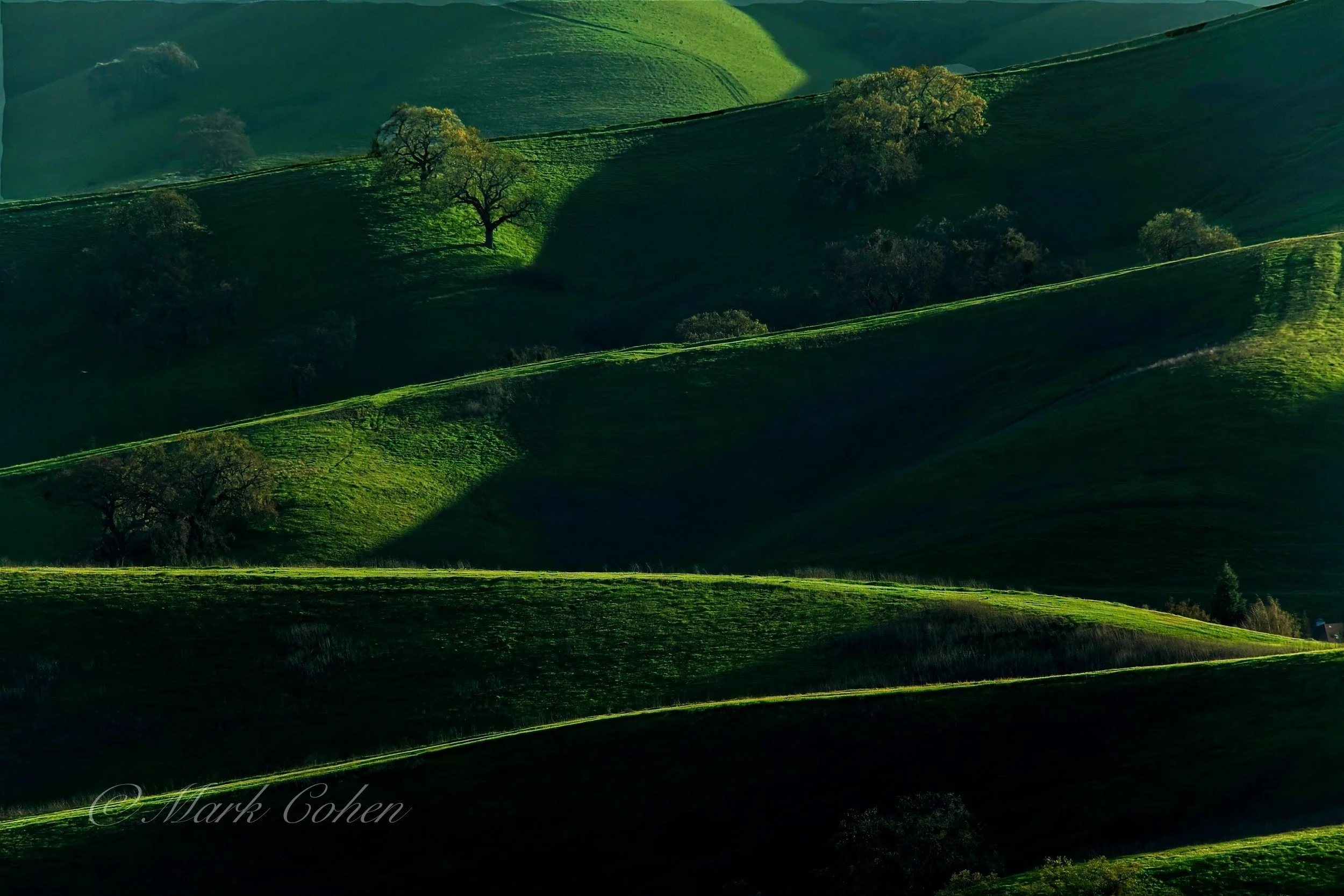 Coastal foothills no.4, California  