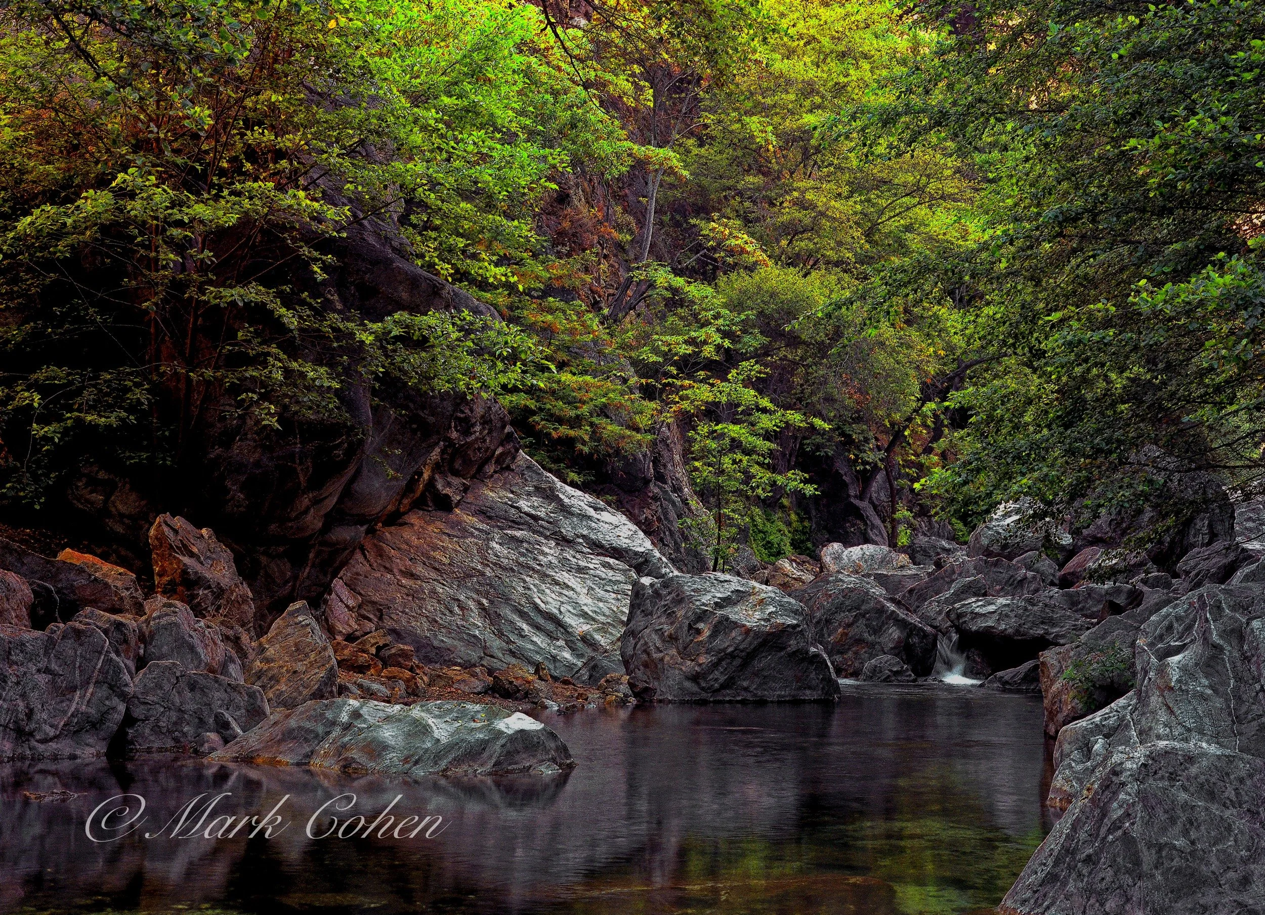 Big Sur River Raw04.1-2 copy1.jpg
