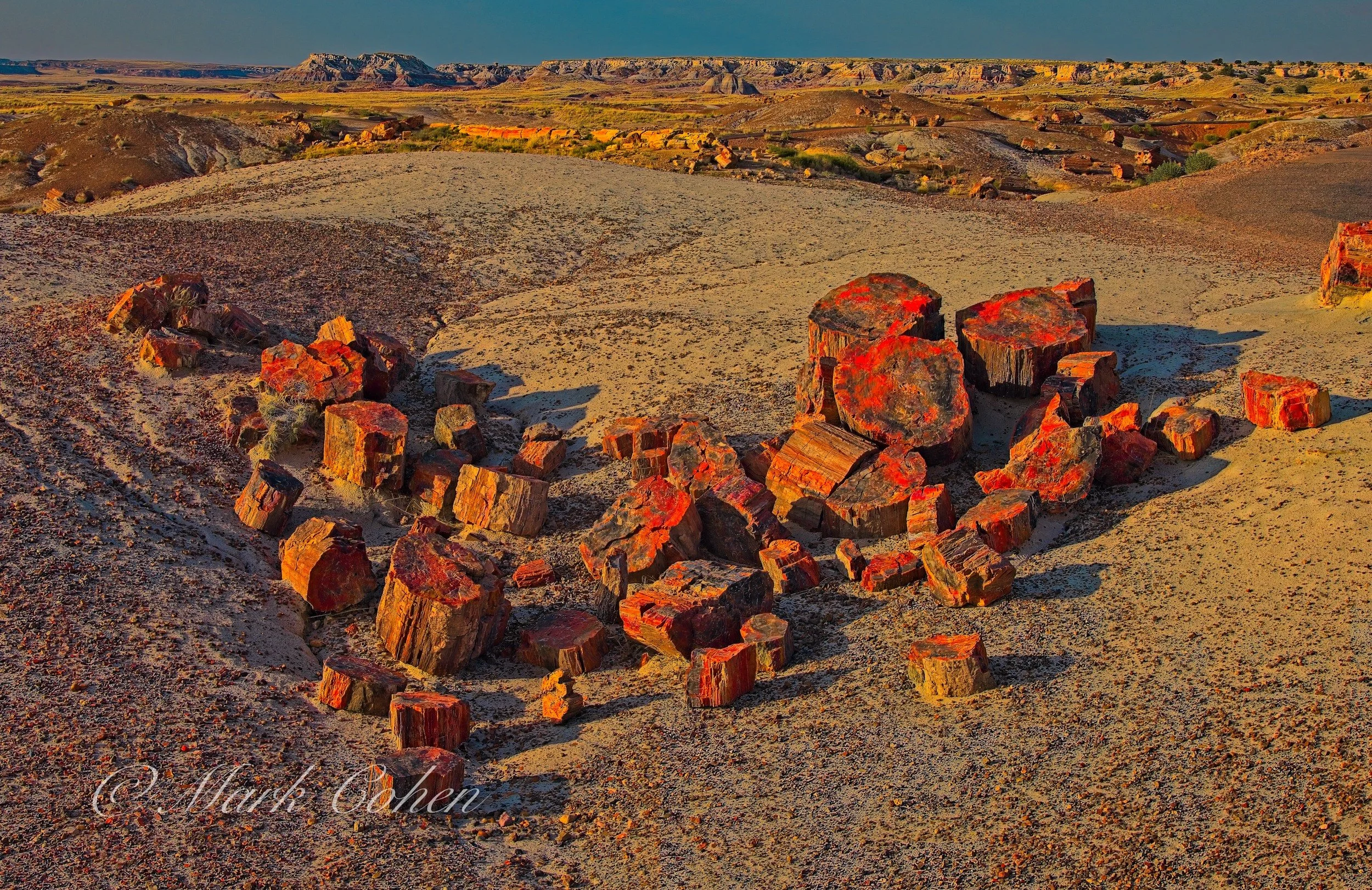 Petrified log, Arizona.jpg