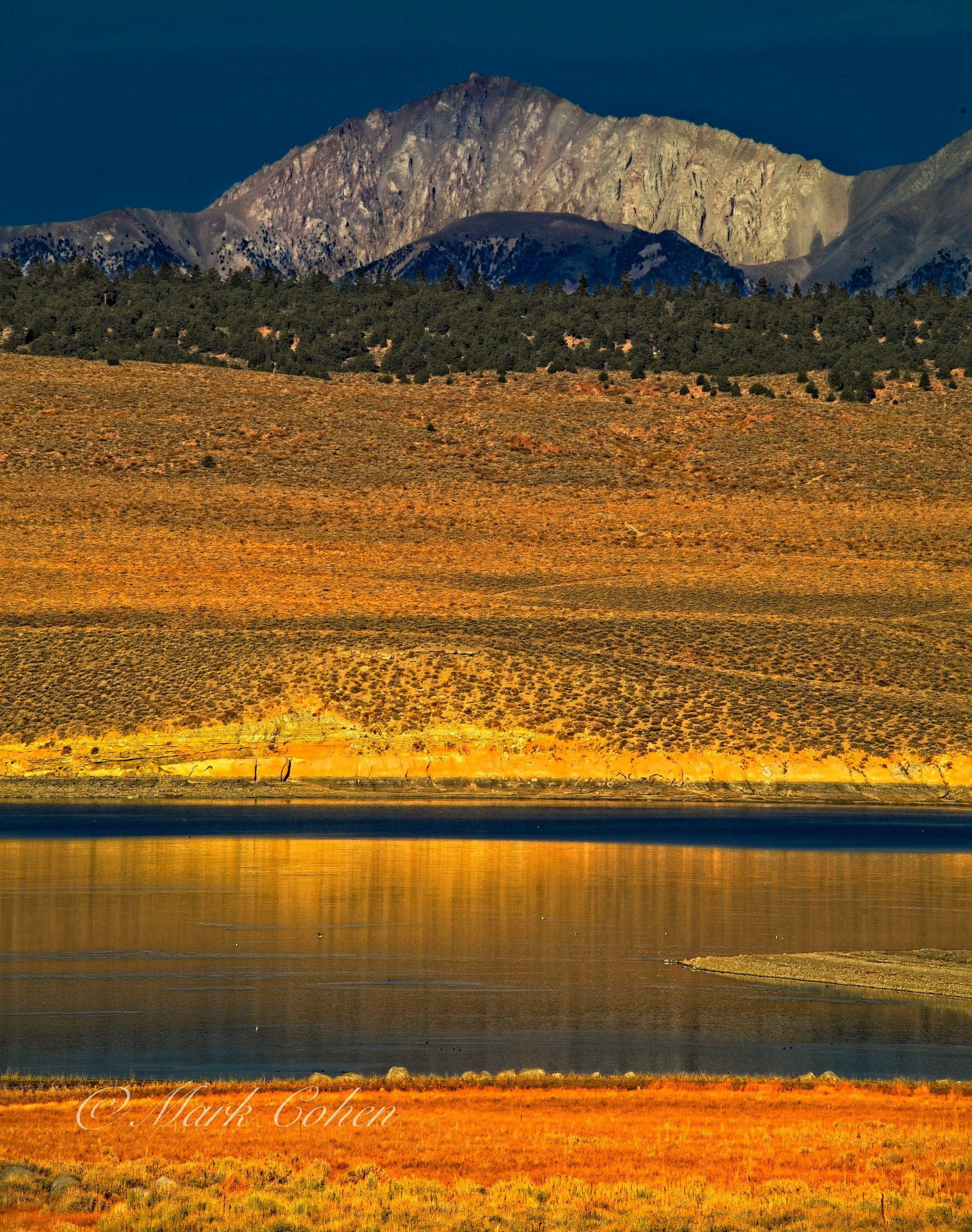 Afternoon, Mono Lake.jpg