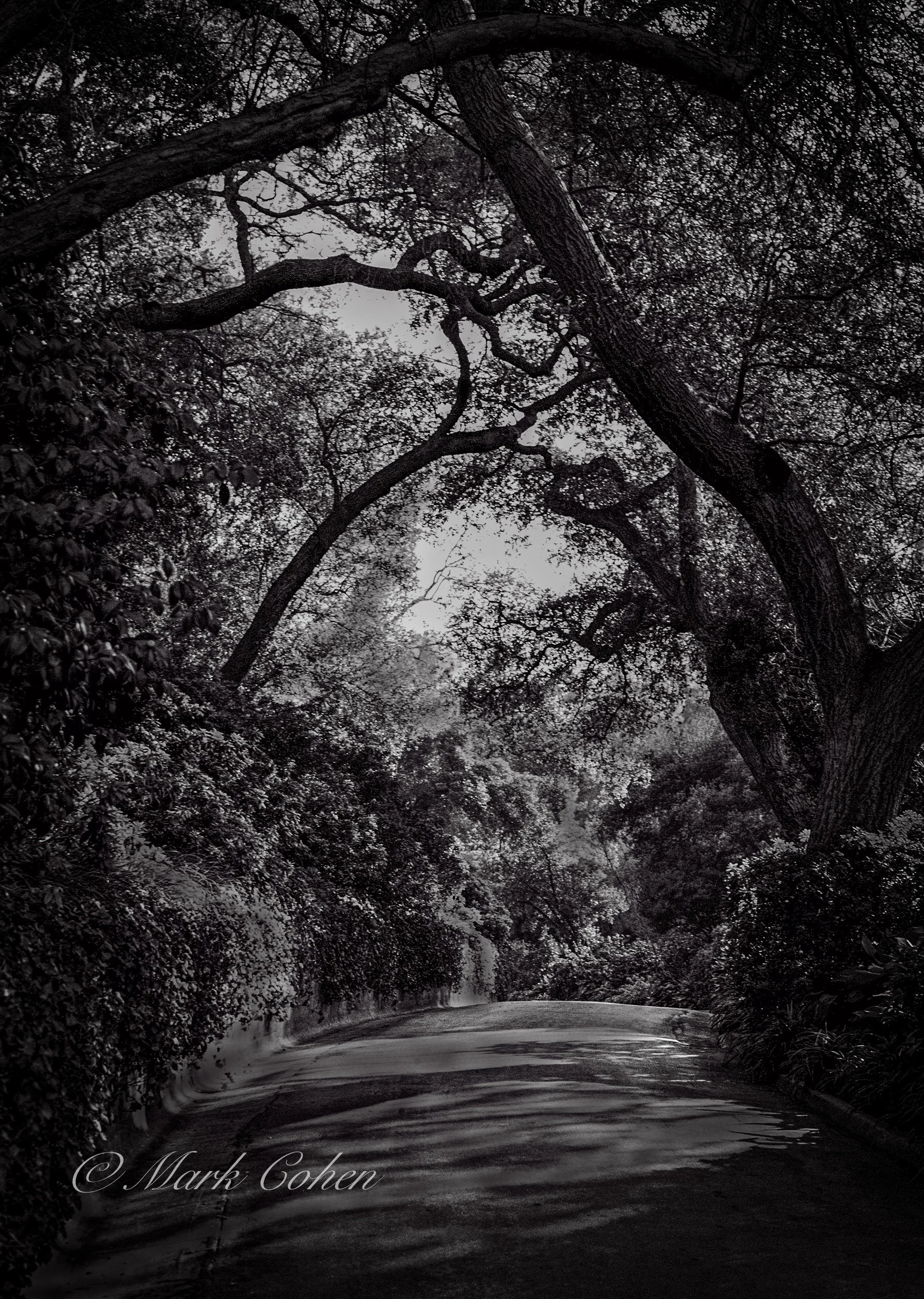 Backroad, San Marino.jpg