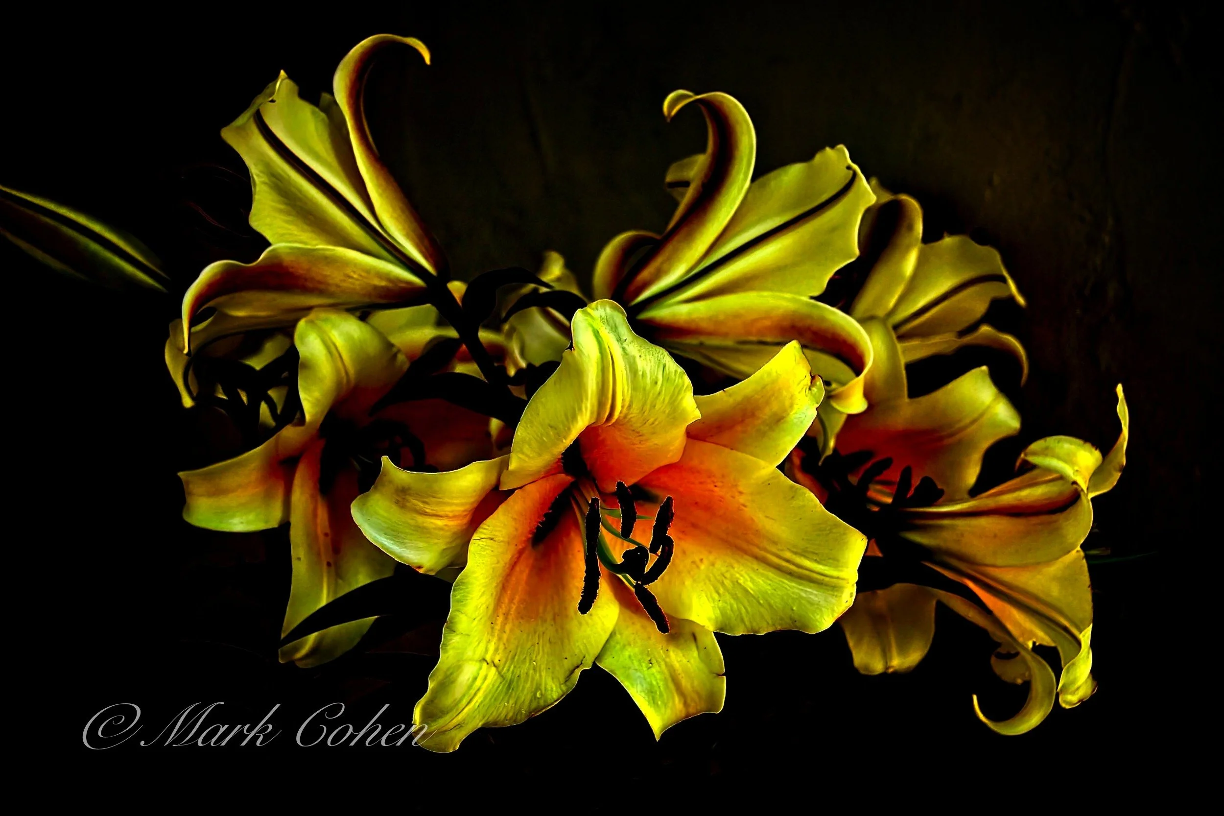 Heather's bouquet 1.jpg