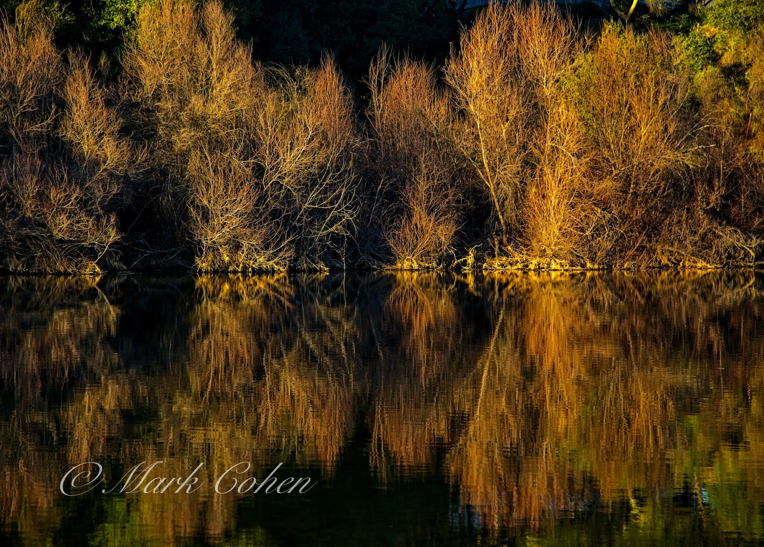 South Fork calm 1.jpg