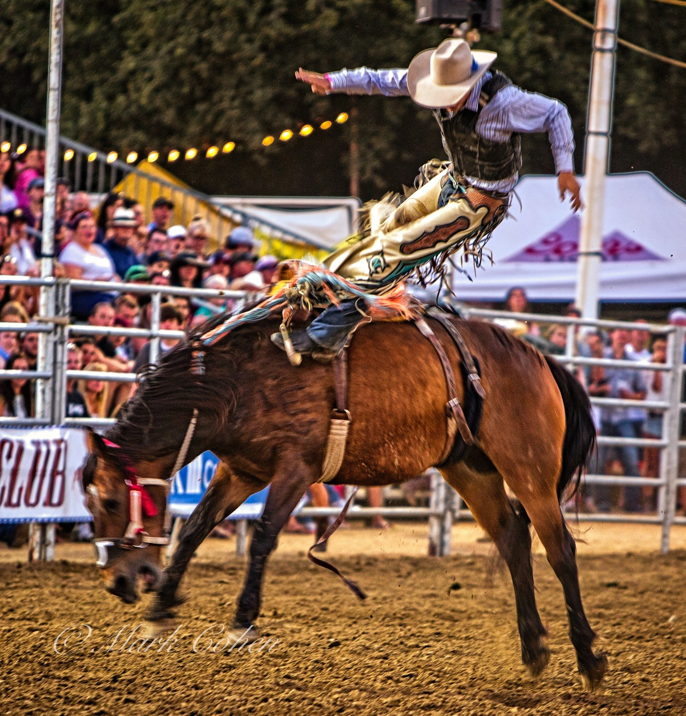 Bucked off again.jpg