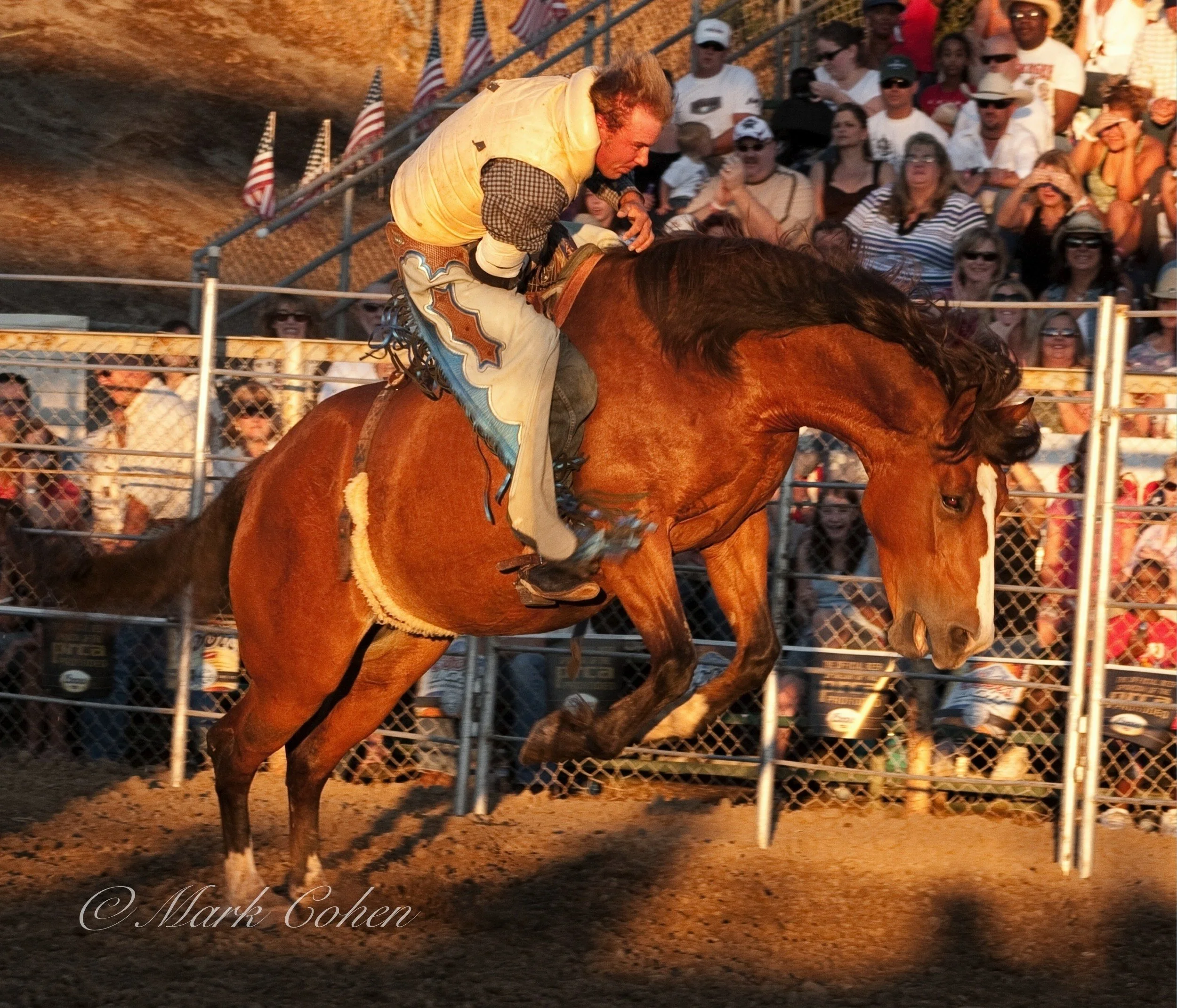 Bucking horse working hard.jpg