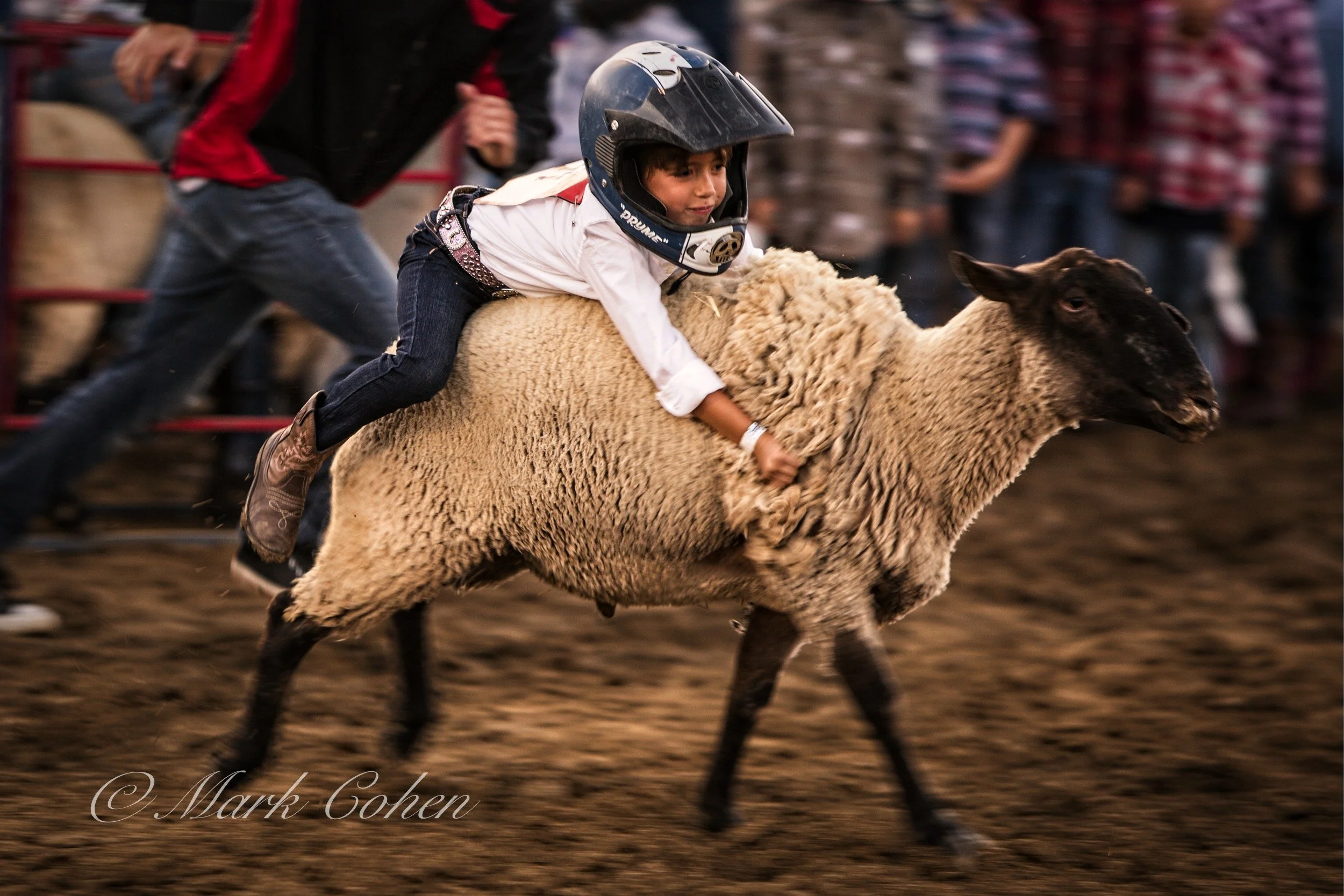 Folsom - Rodeo mutton buster .jpg