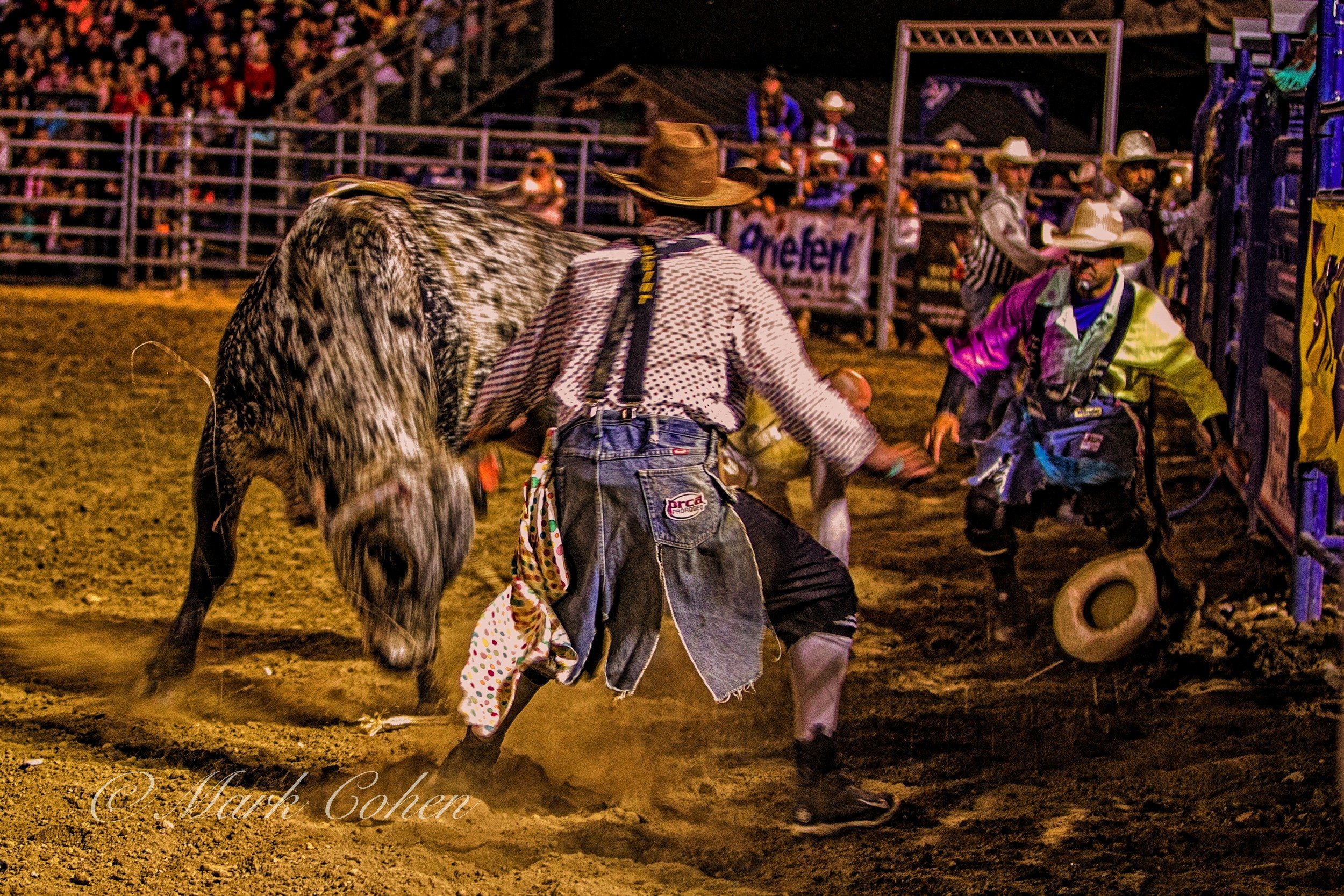 Rodeo clowns at work.jpg