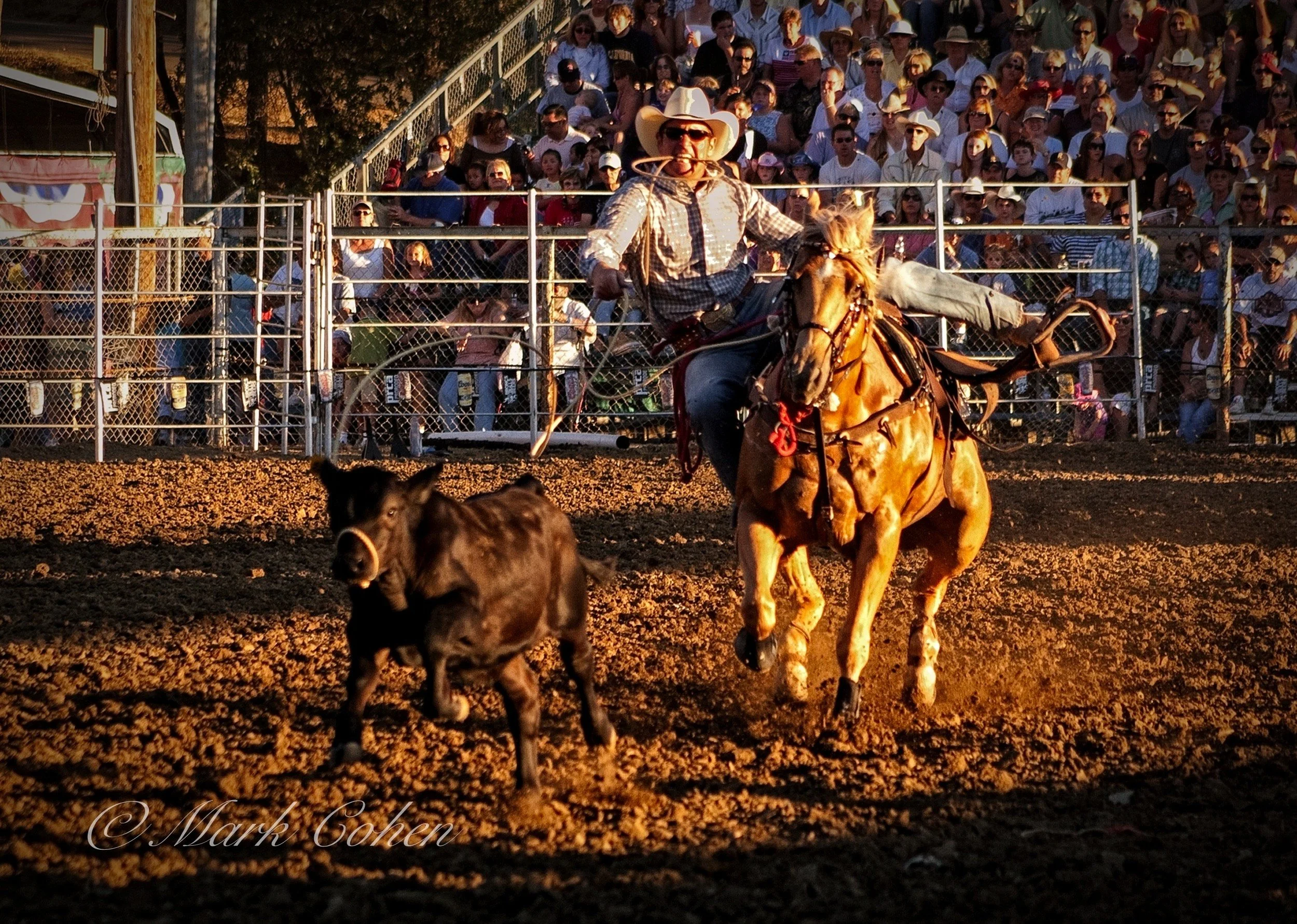 Calf roping  full speed.jpg