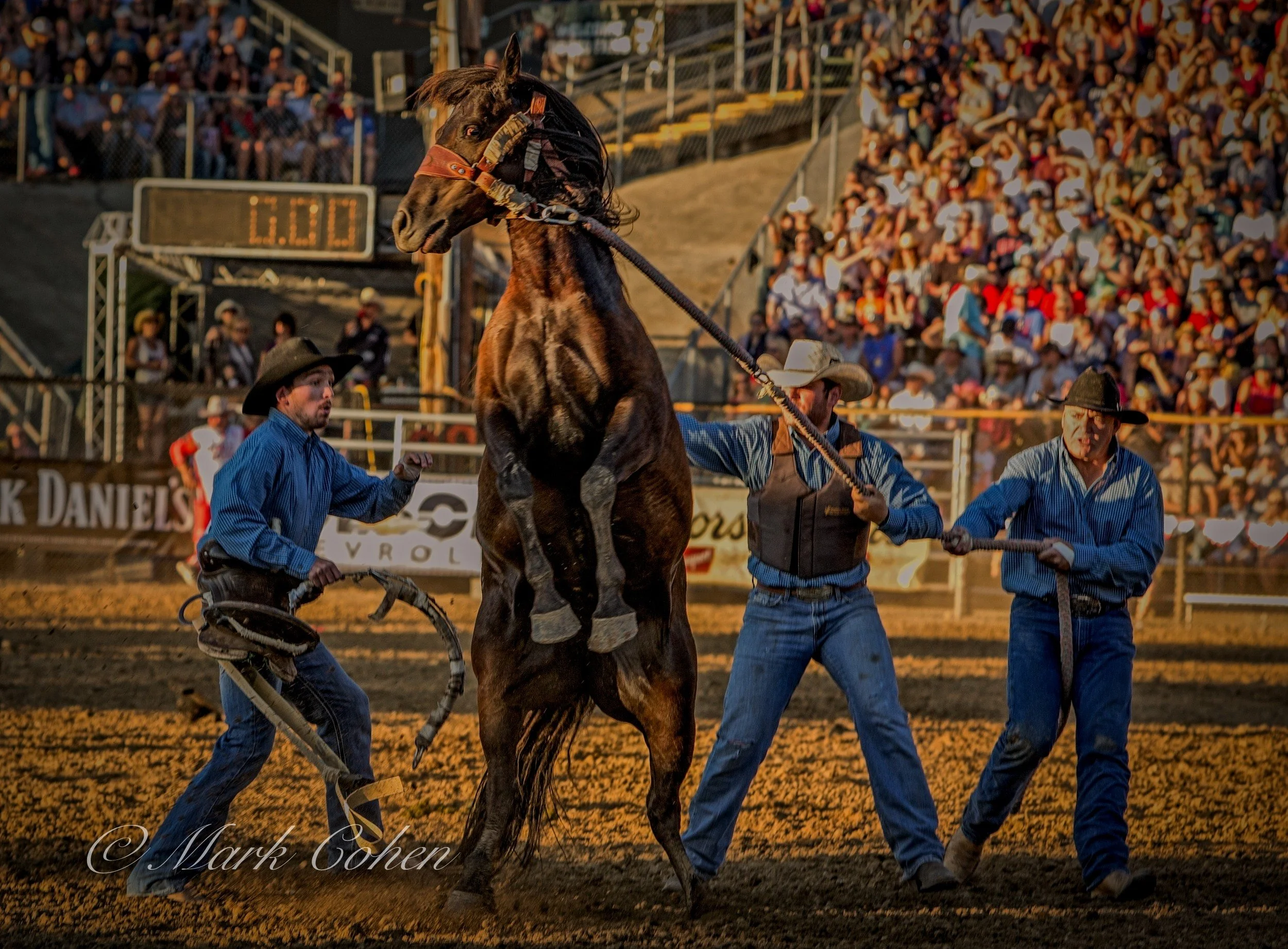 Standing ovation.jpg