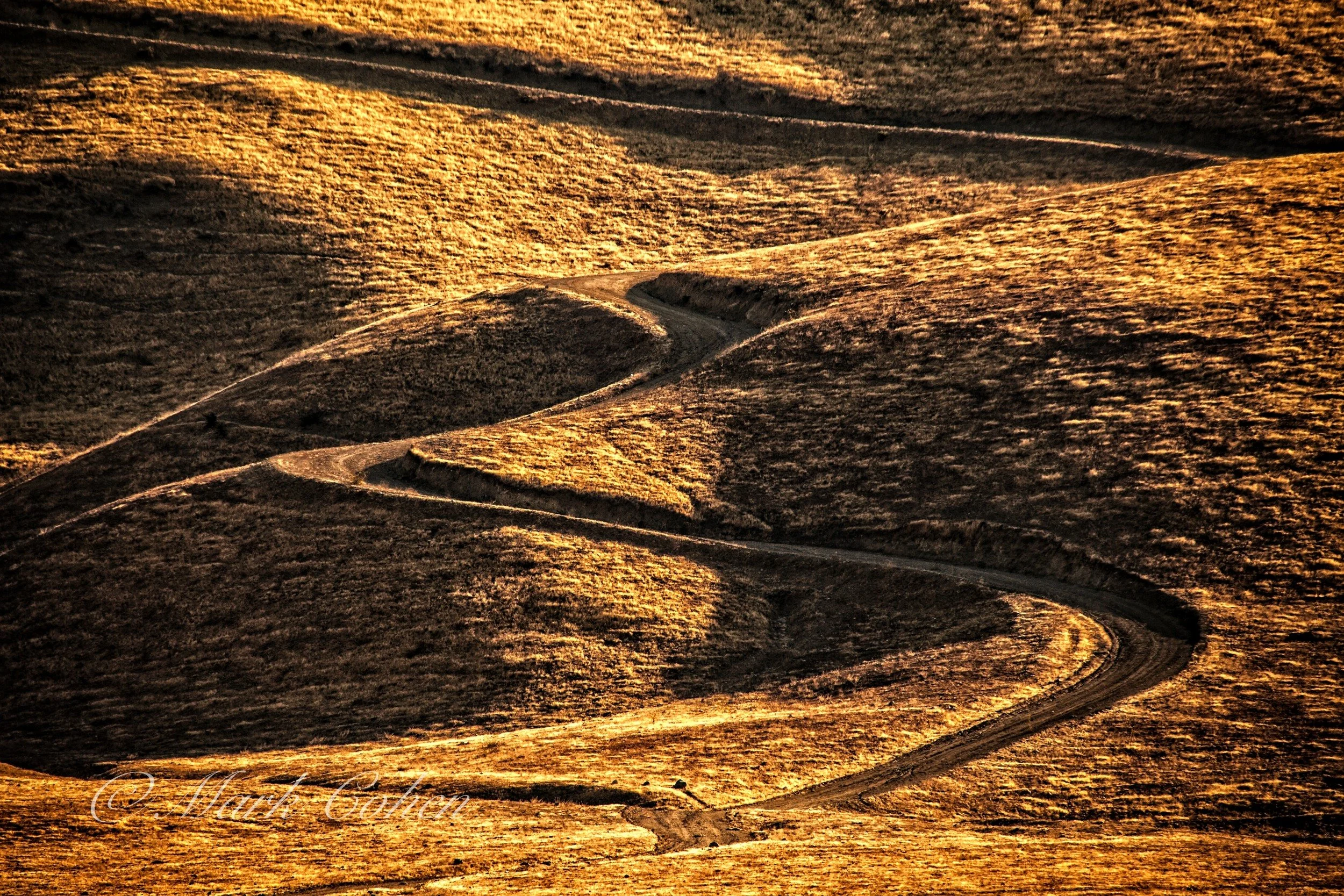 lndmc_20131031_7528_me-3-2-Edit copy copy.jpg