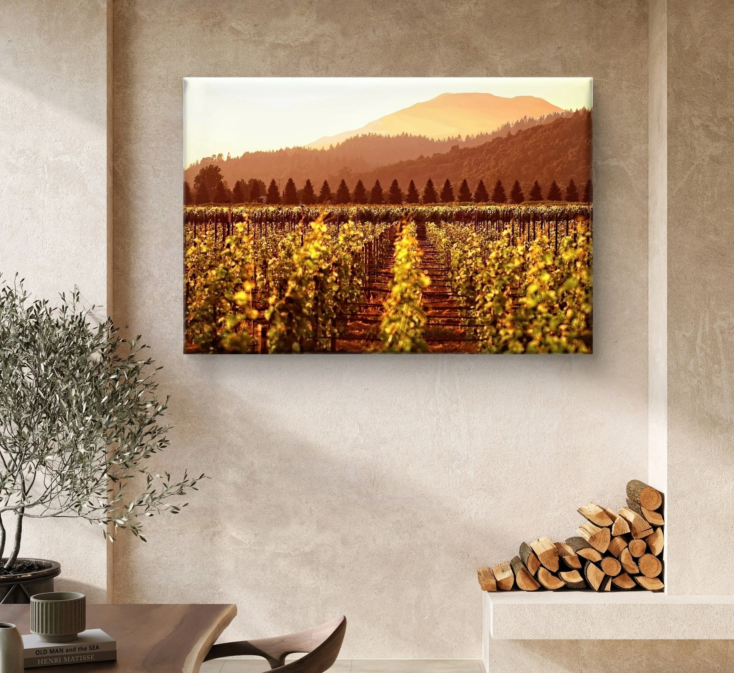 Napa vineyard at sunset.jpg