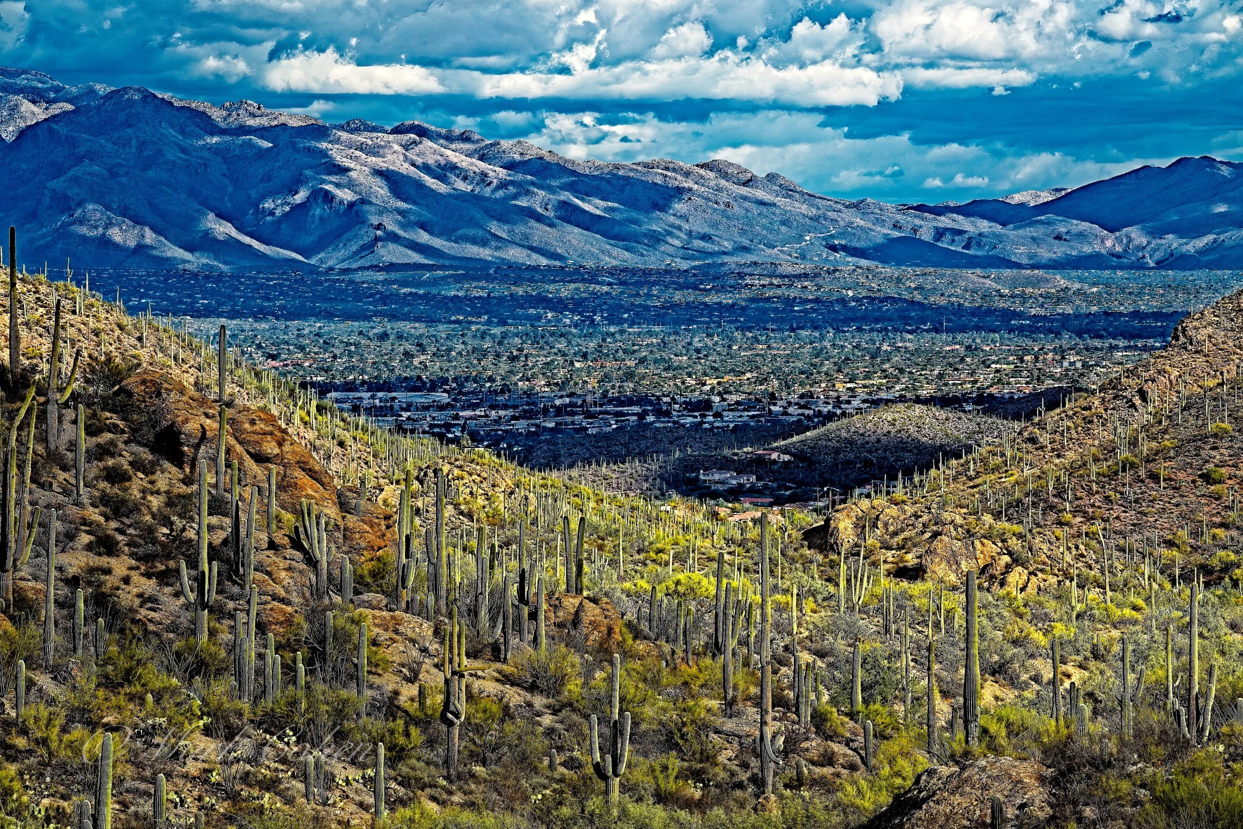 Tucson, Arizona  2022.jpg