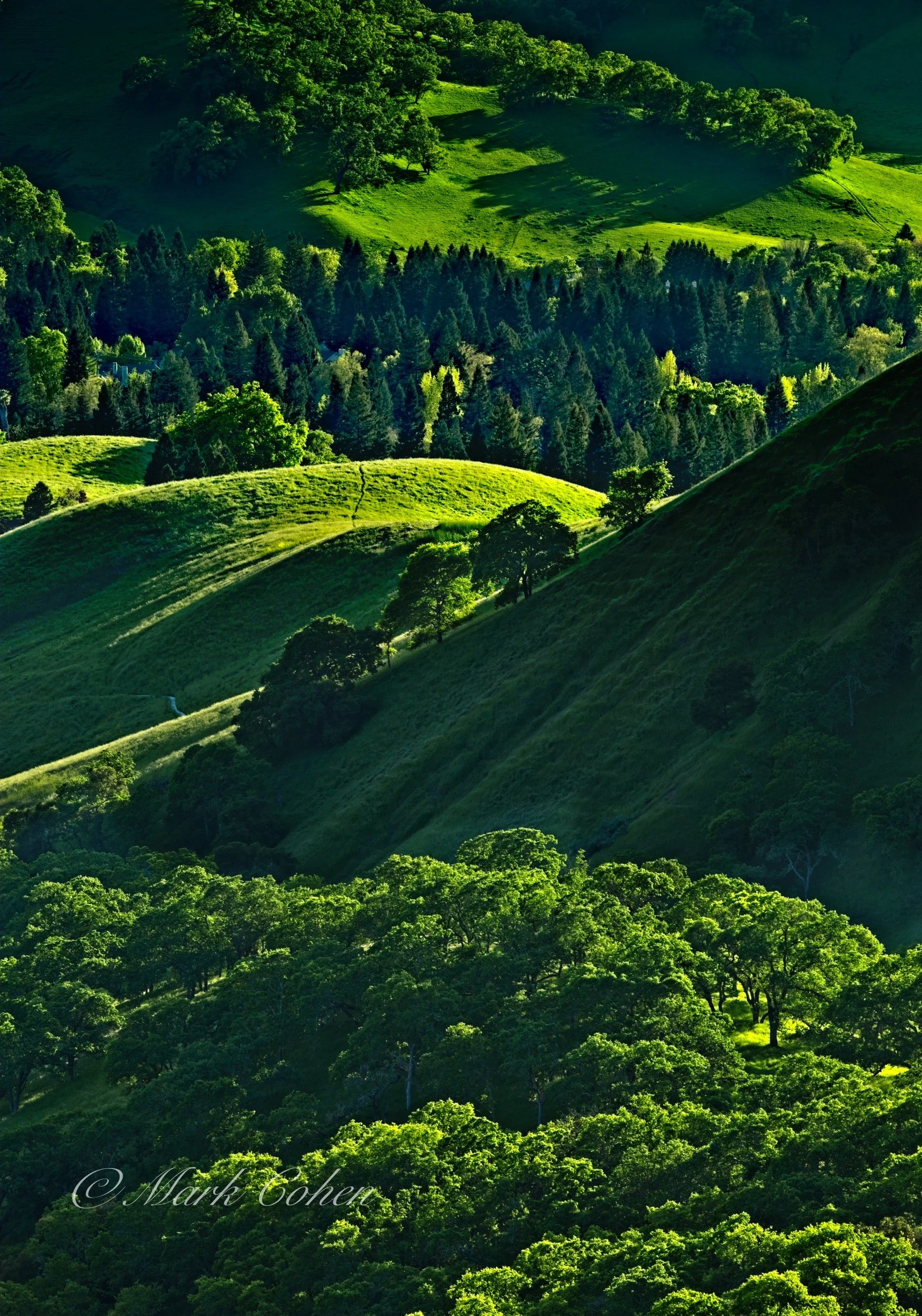 East Bay foothills.jpg