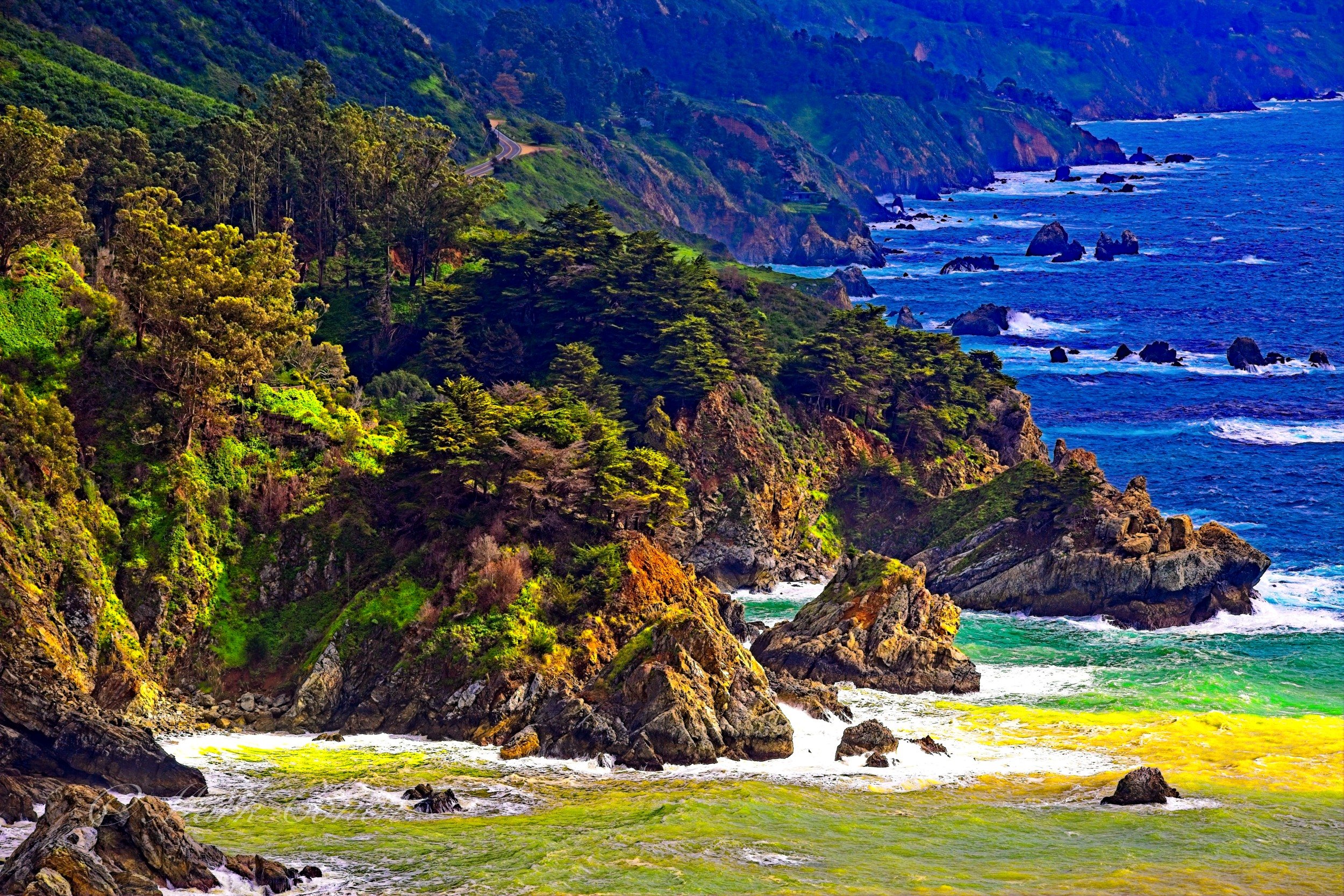 P57A7976 copy copy.jpg