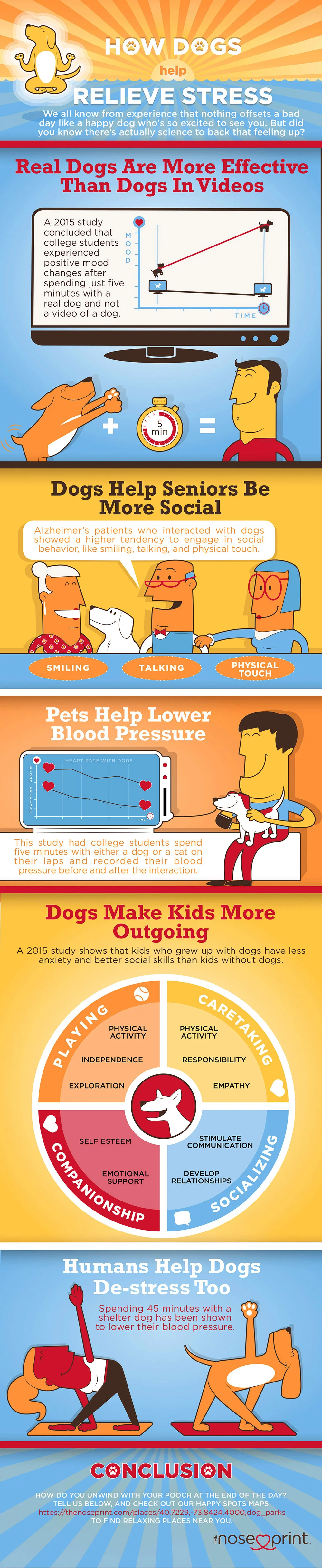 And-Them-Infographics-Design-Noseprint-How-Dogs-Relieve-Stress.jpg