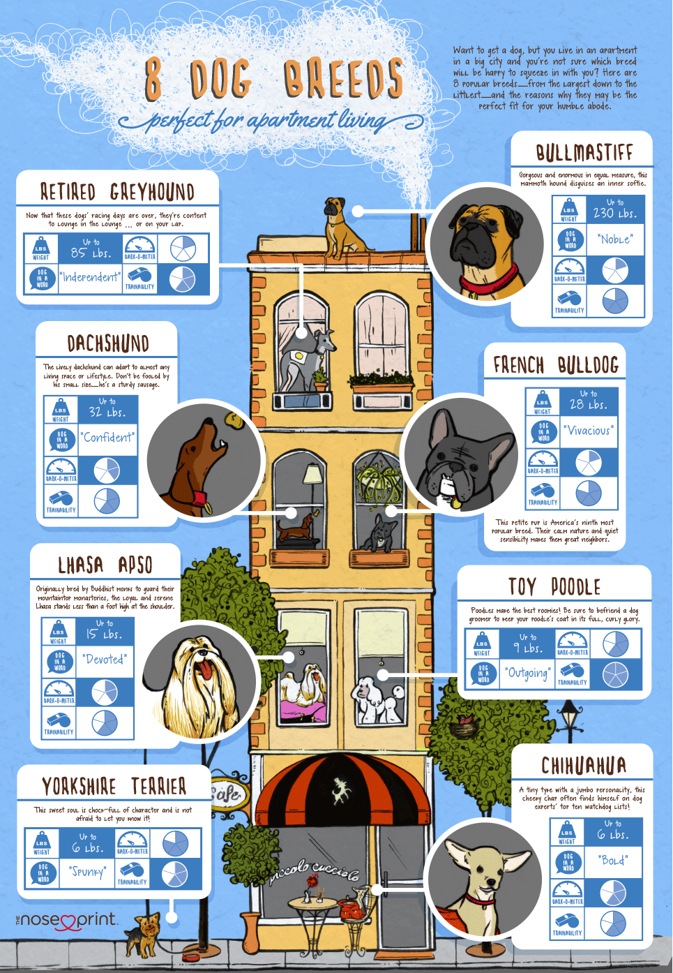 And-Them-Infographics-Design-Noseprint-Dog-Breeds-For-Apartment-Living.png