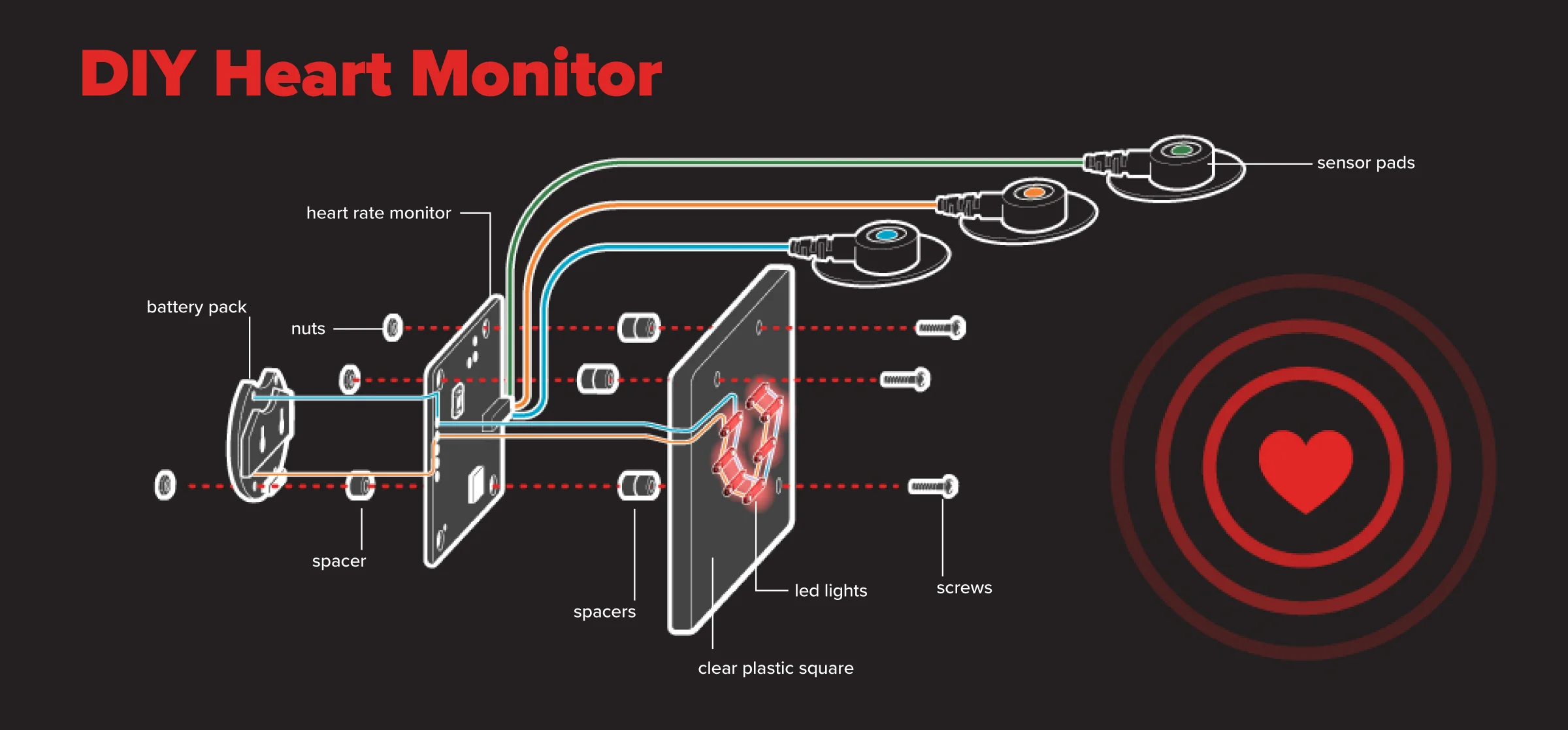 Conor-Buckley-Diagram-Illustration-DIY-Heart-Monitor.jpg