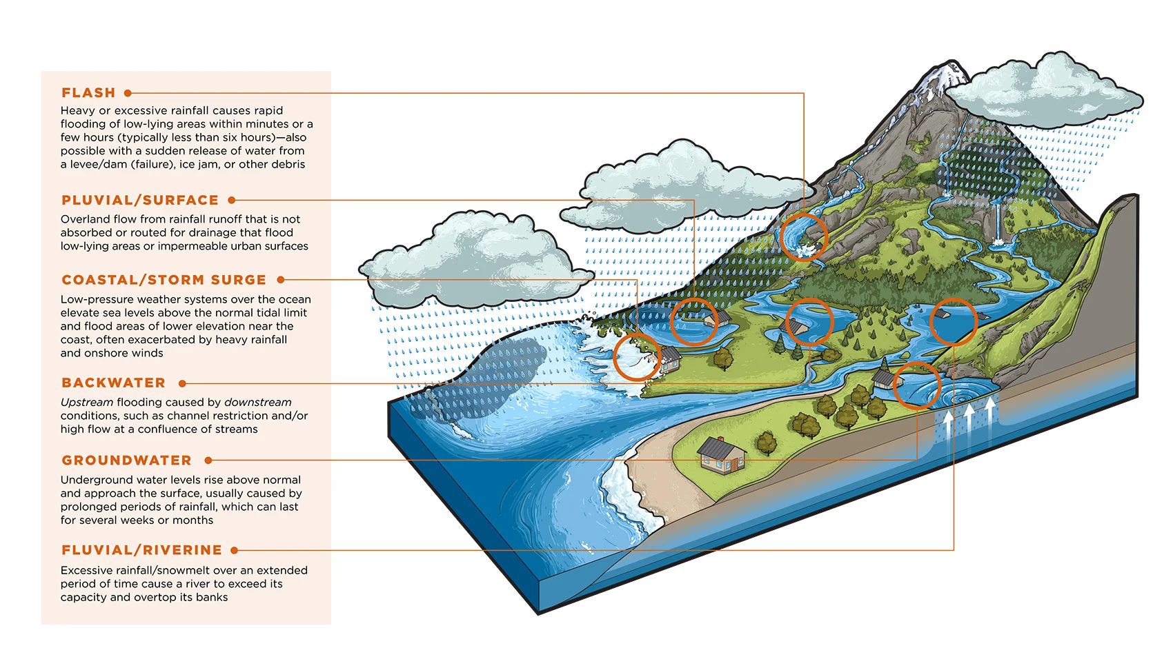 Conor-Buckley-Infographics-Design-RMS-Flood-Risk.jpg