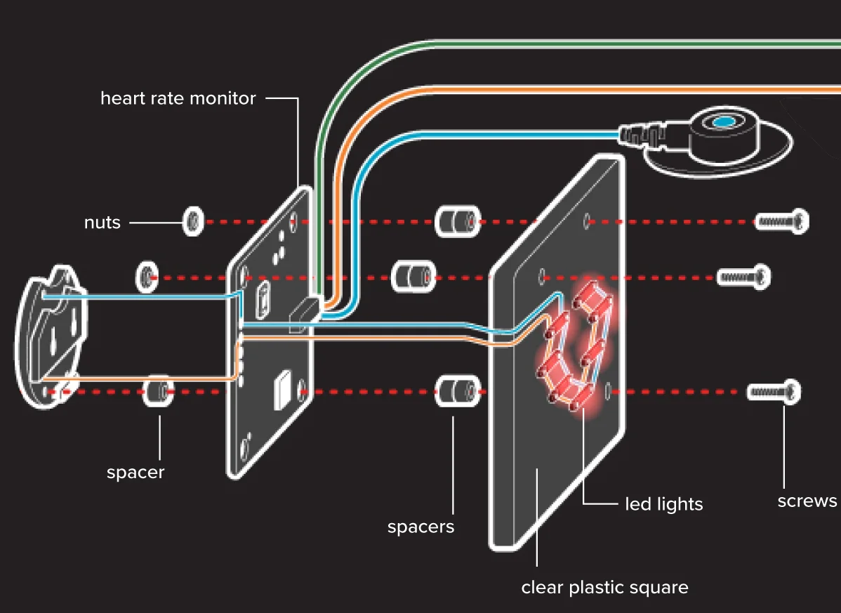 Conor-Buckley-Diagram-Illustration-DIY-Heart-Monitor.jpg