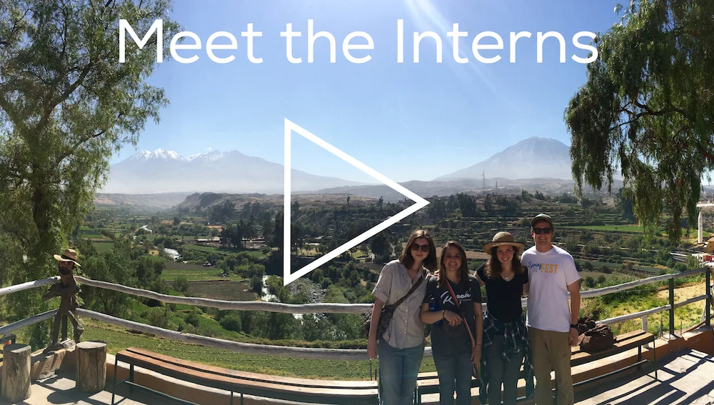 Meet the Interns