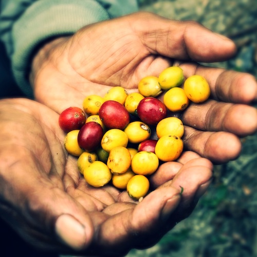 Luminous Coffee