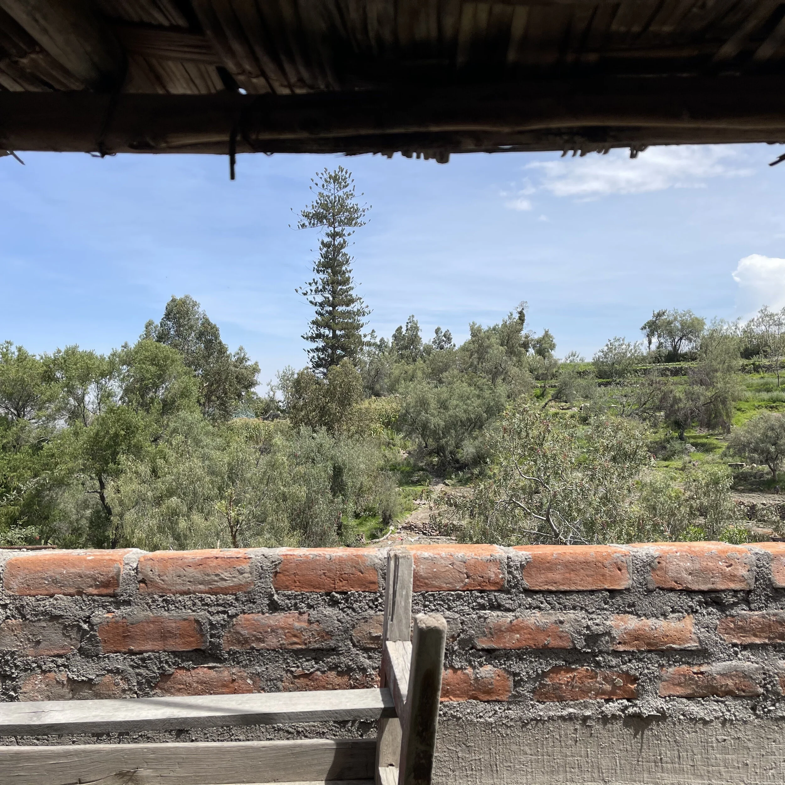 CUDA Update - April 2021