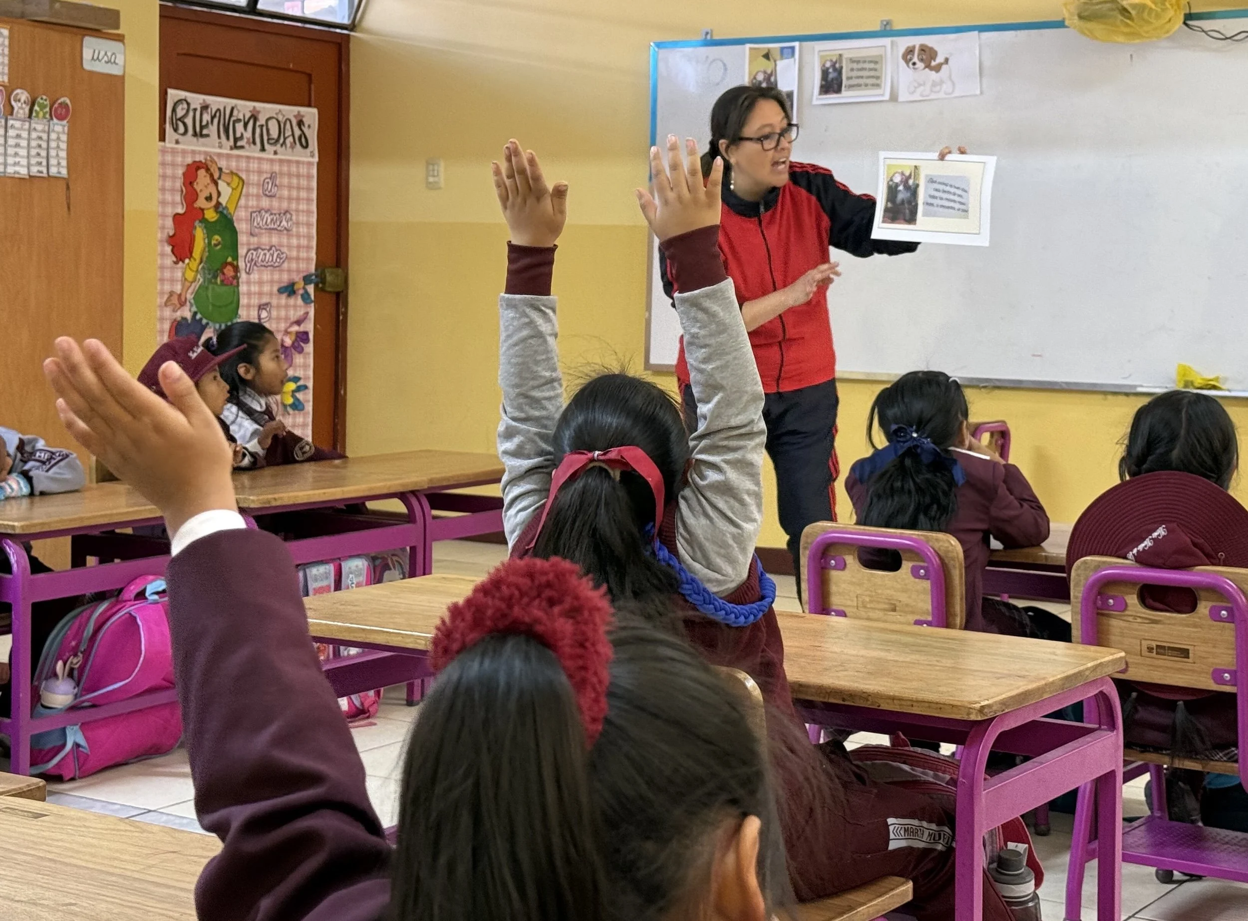 Living Libraries Impact: When Teachers Catch the Vision