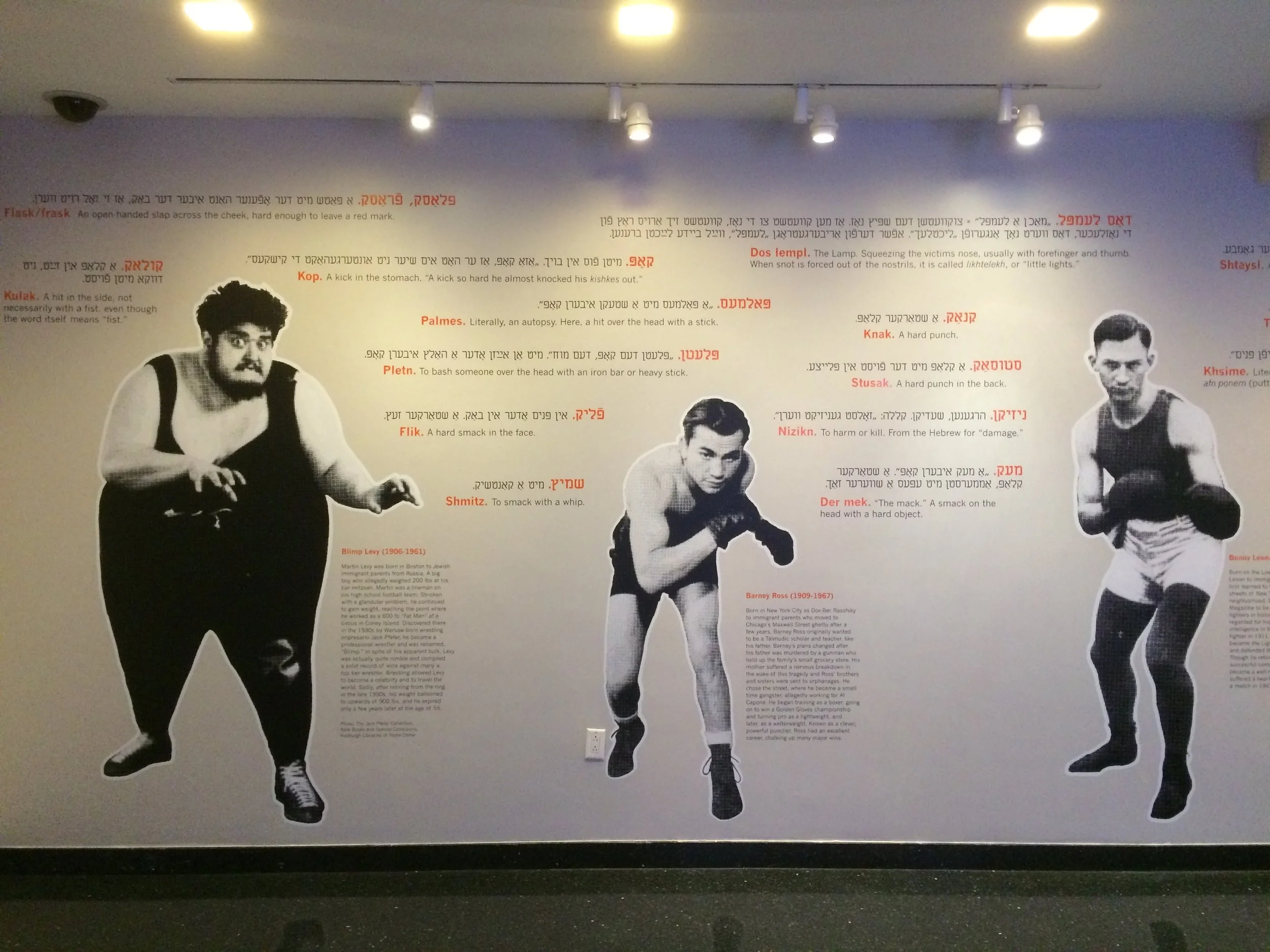 2015-04-30 10.58.45.jpg