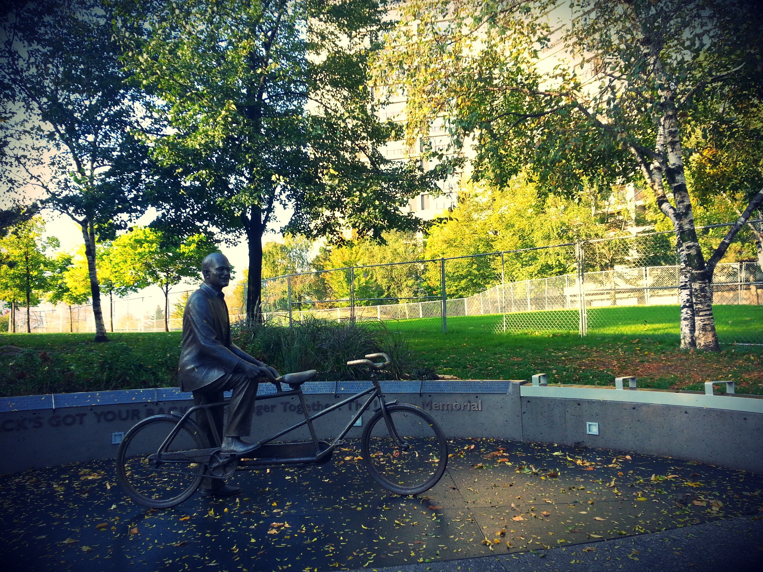 355/365 - Going my way?