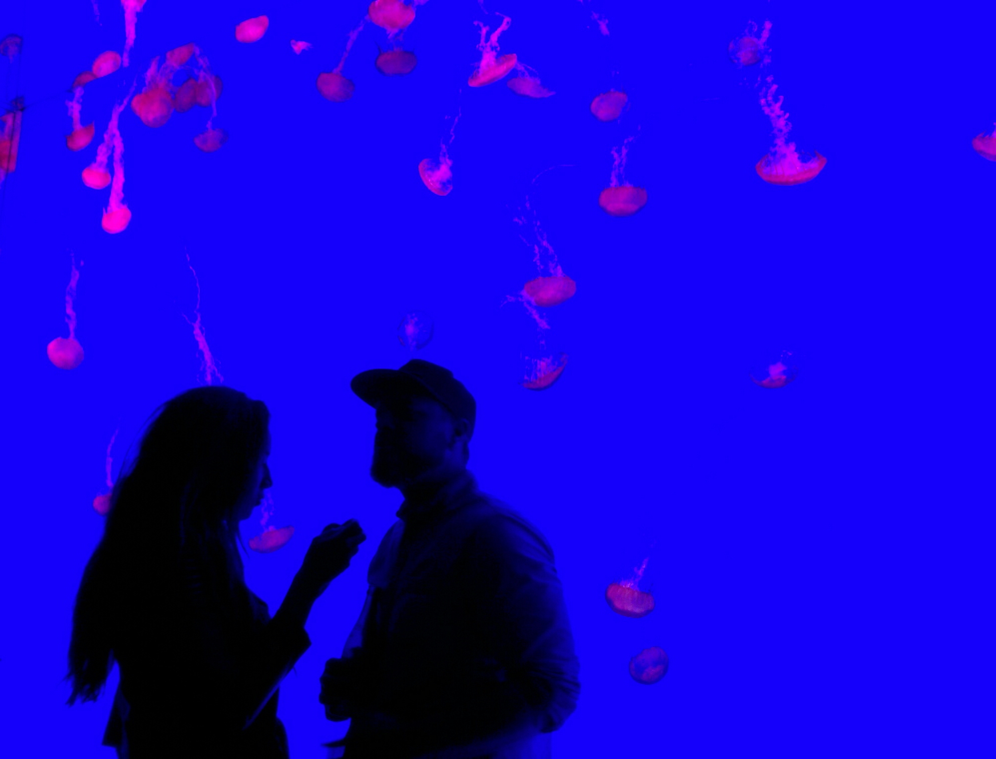 Jelly Love