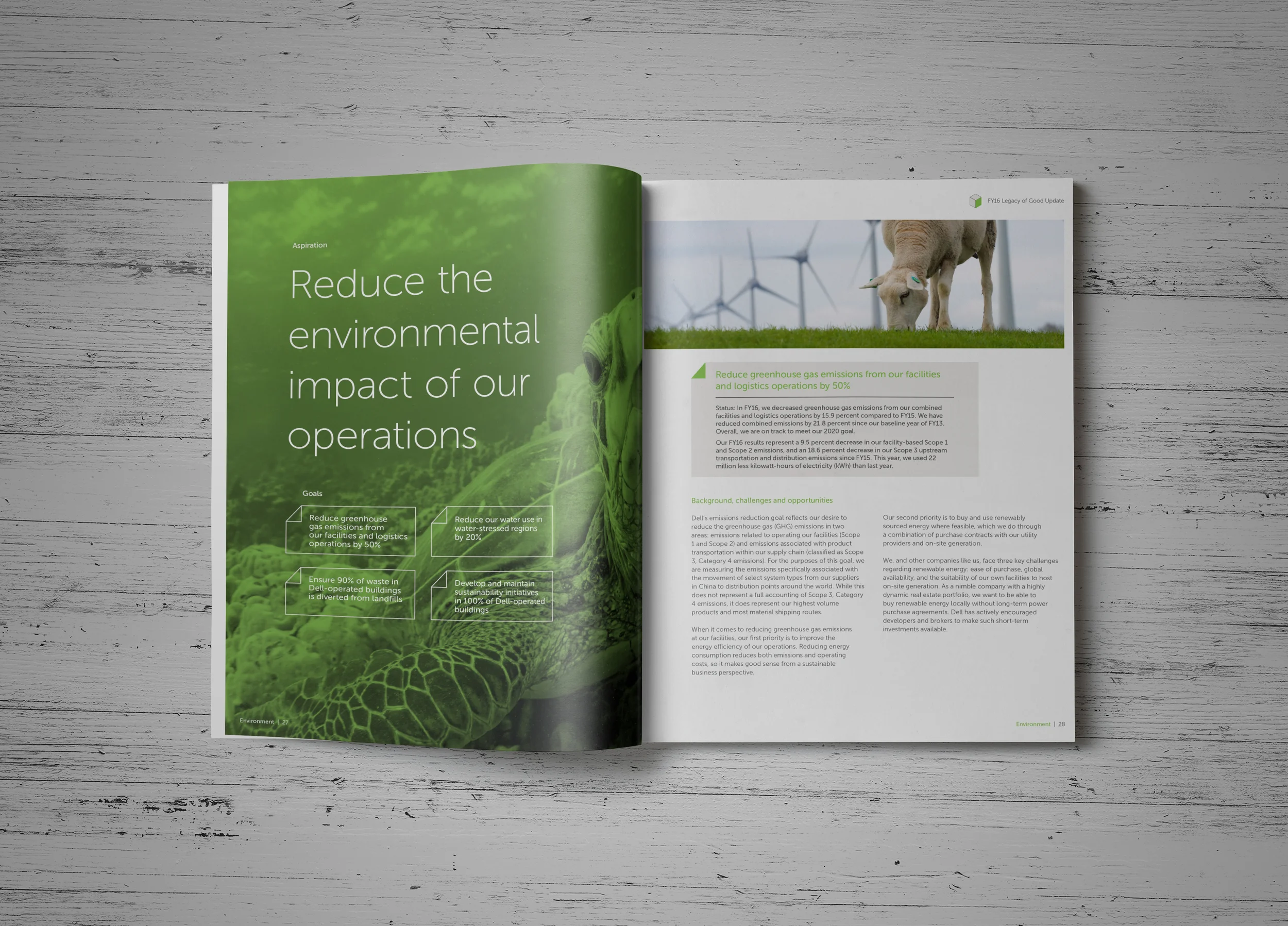 Environment section spread