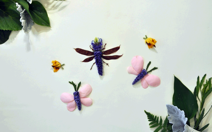 IG_Bugs_EarthDay_Post_4.gif