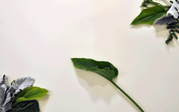 IG_Water_EarthDay_Post_4.gif