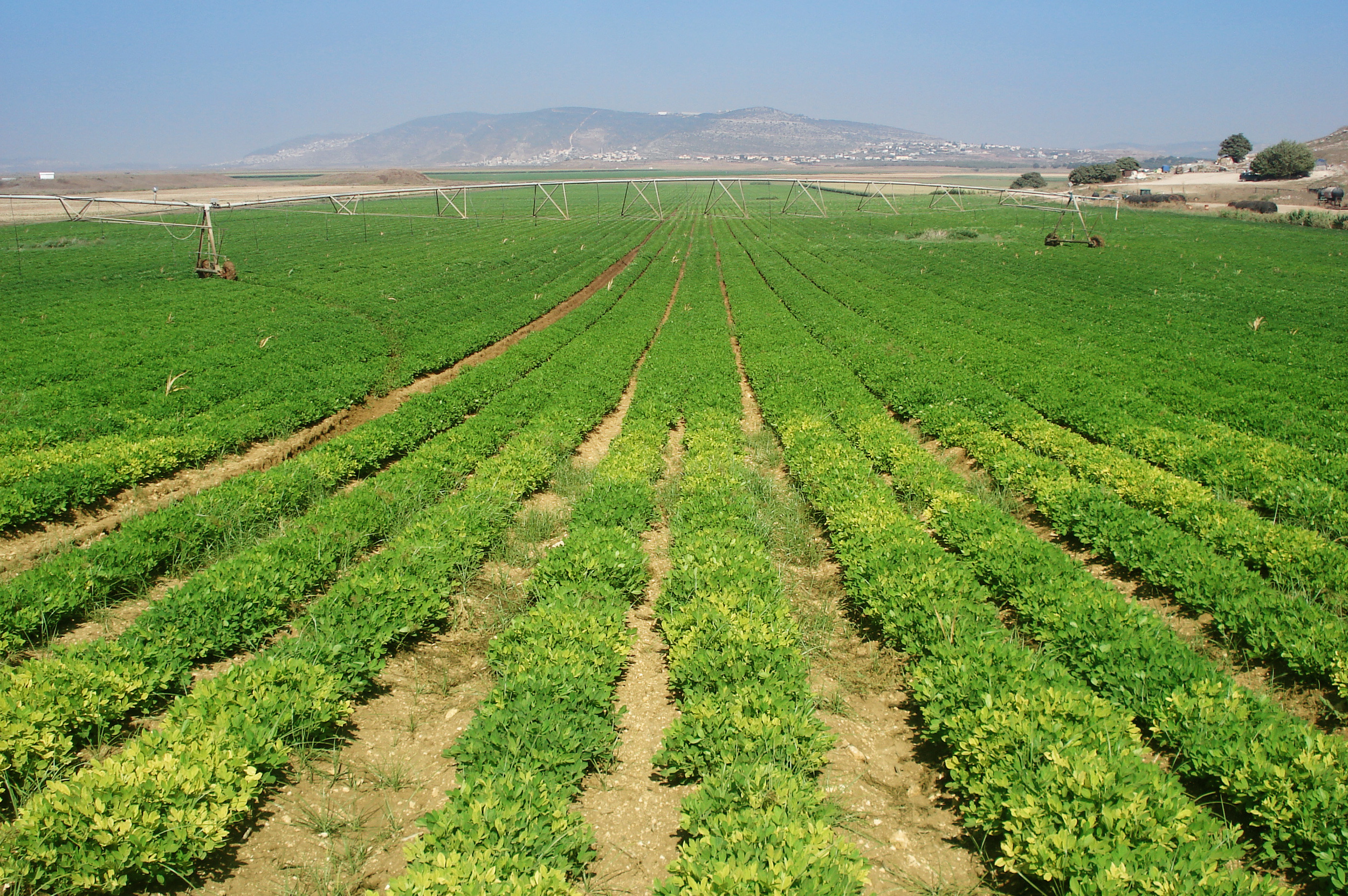 agriculture.jpg