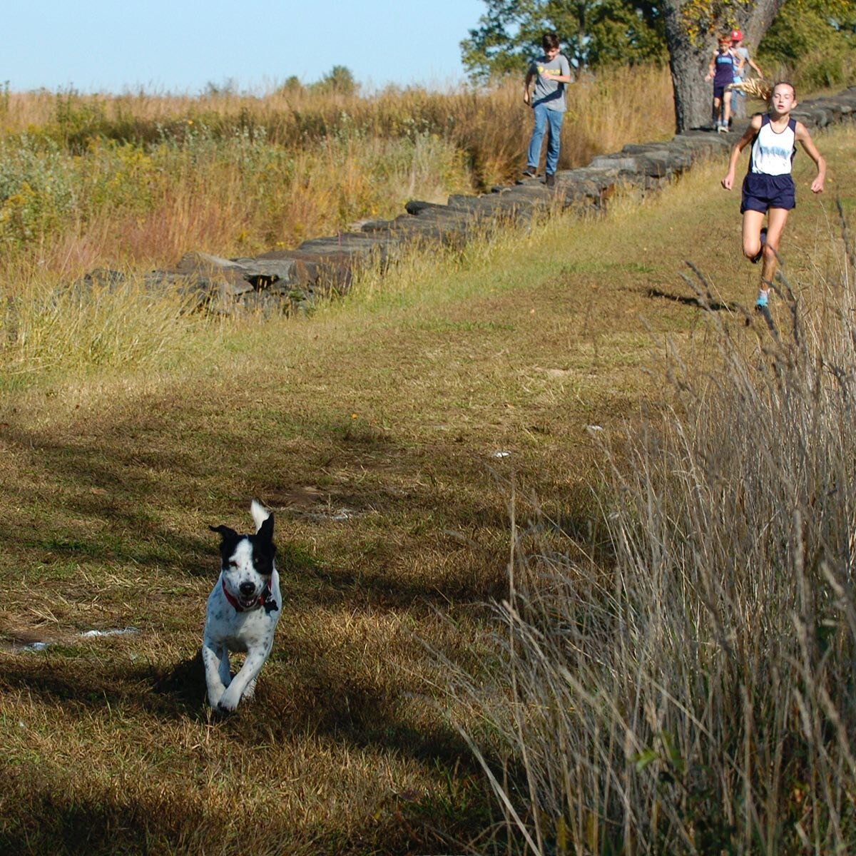 Fun weekend #inwilm which included seeing a dog pace a cross country race @brandywinecreekstatepark to the @delstatebar Fall Family Festival @ramseys.farm, to our neighborhood block party featuring a pop-up opera performance by @operadelaware - fun t