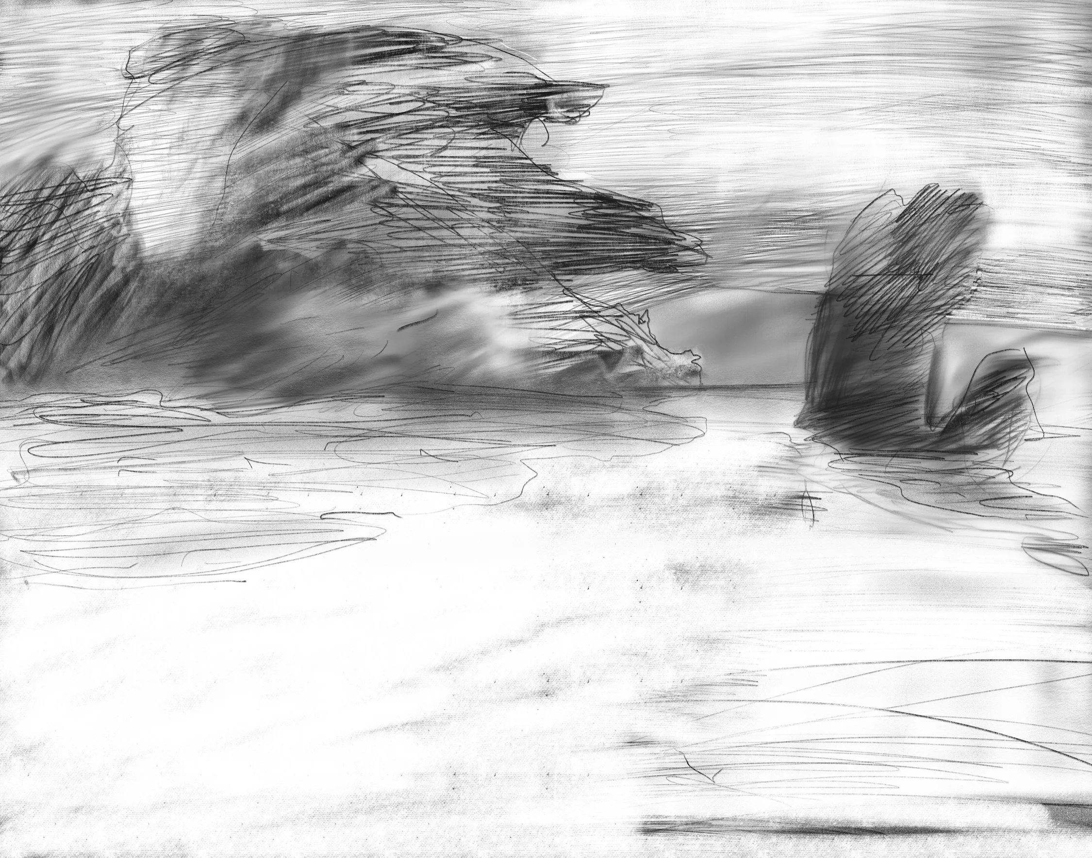   Untitled , digital drawing, 2016 