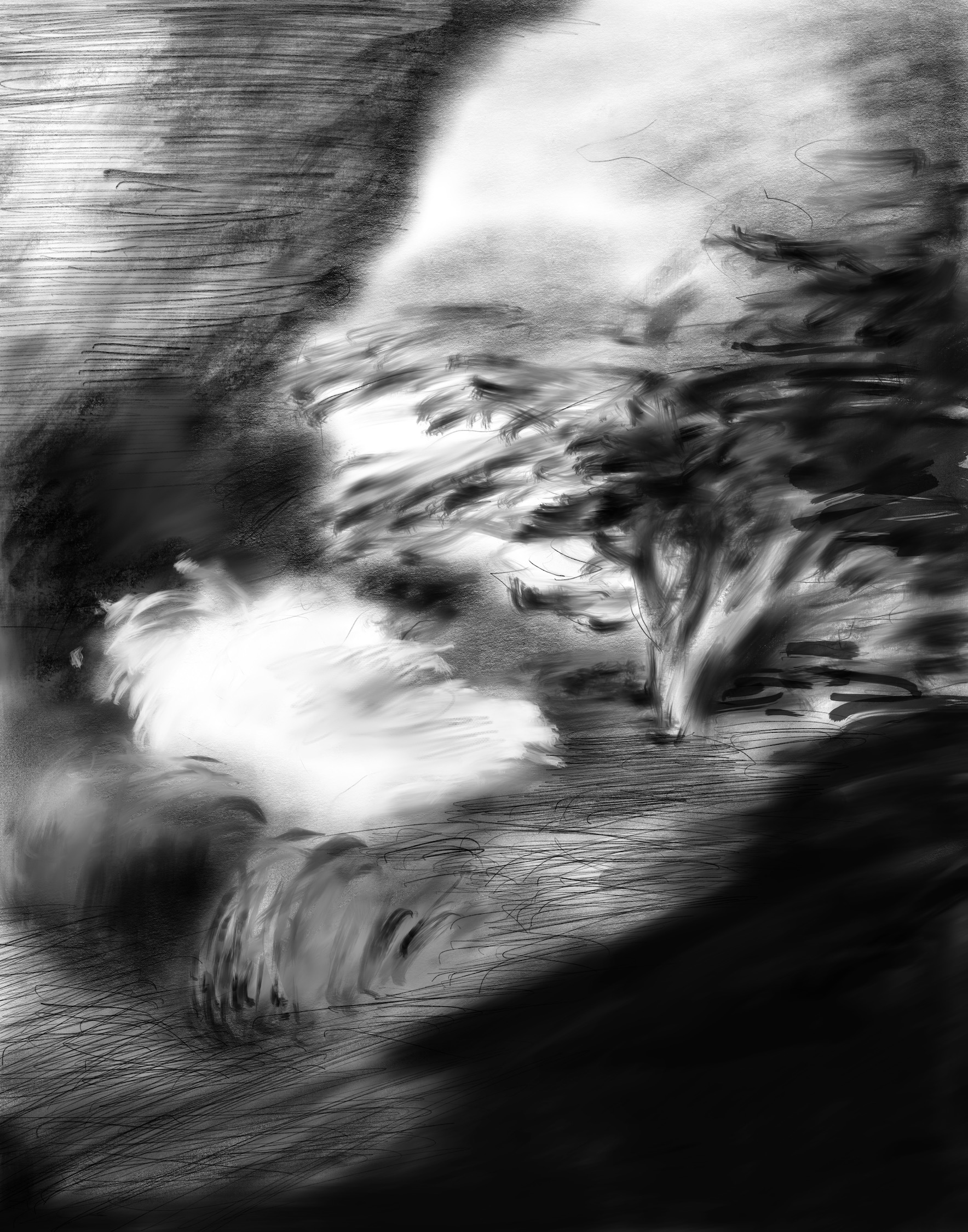   Untitled , digital drawing, 2017 