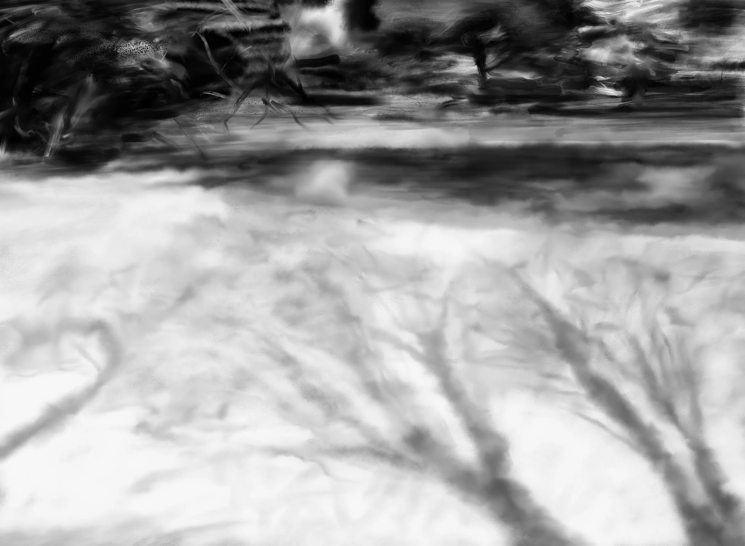   Untitled , digital drawing, 2017 