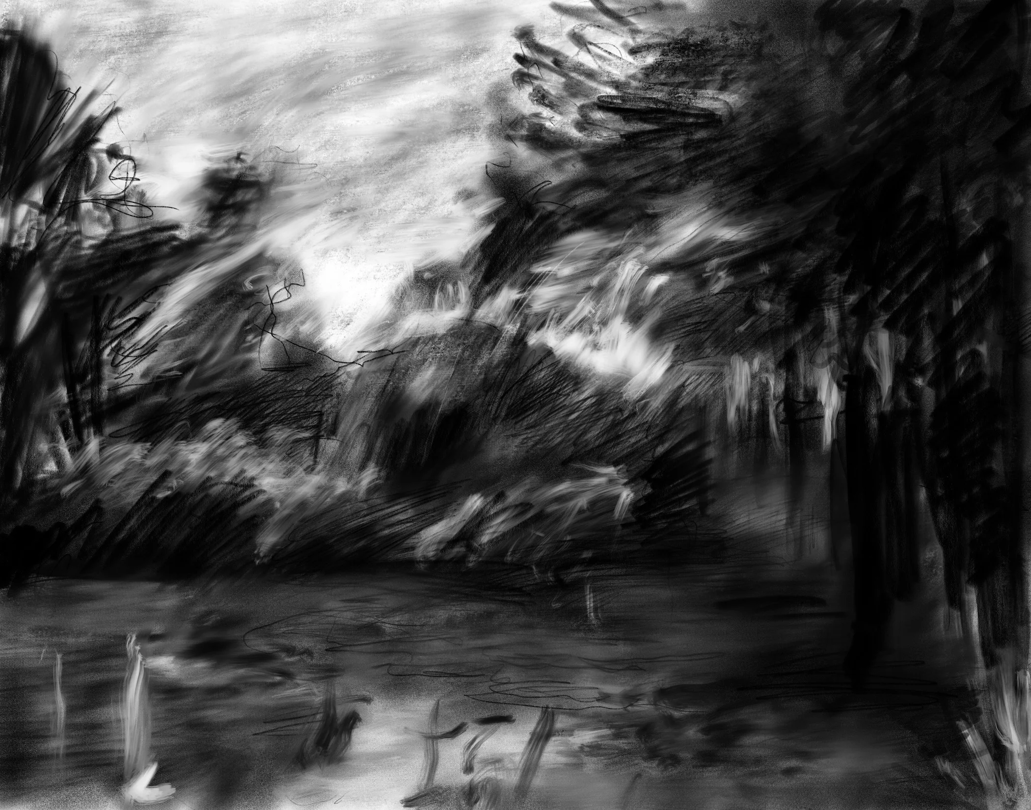   Untitled , digital drawing, 2016 