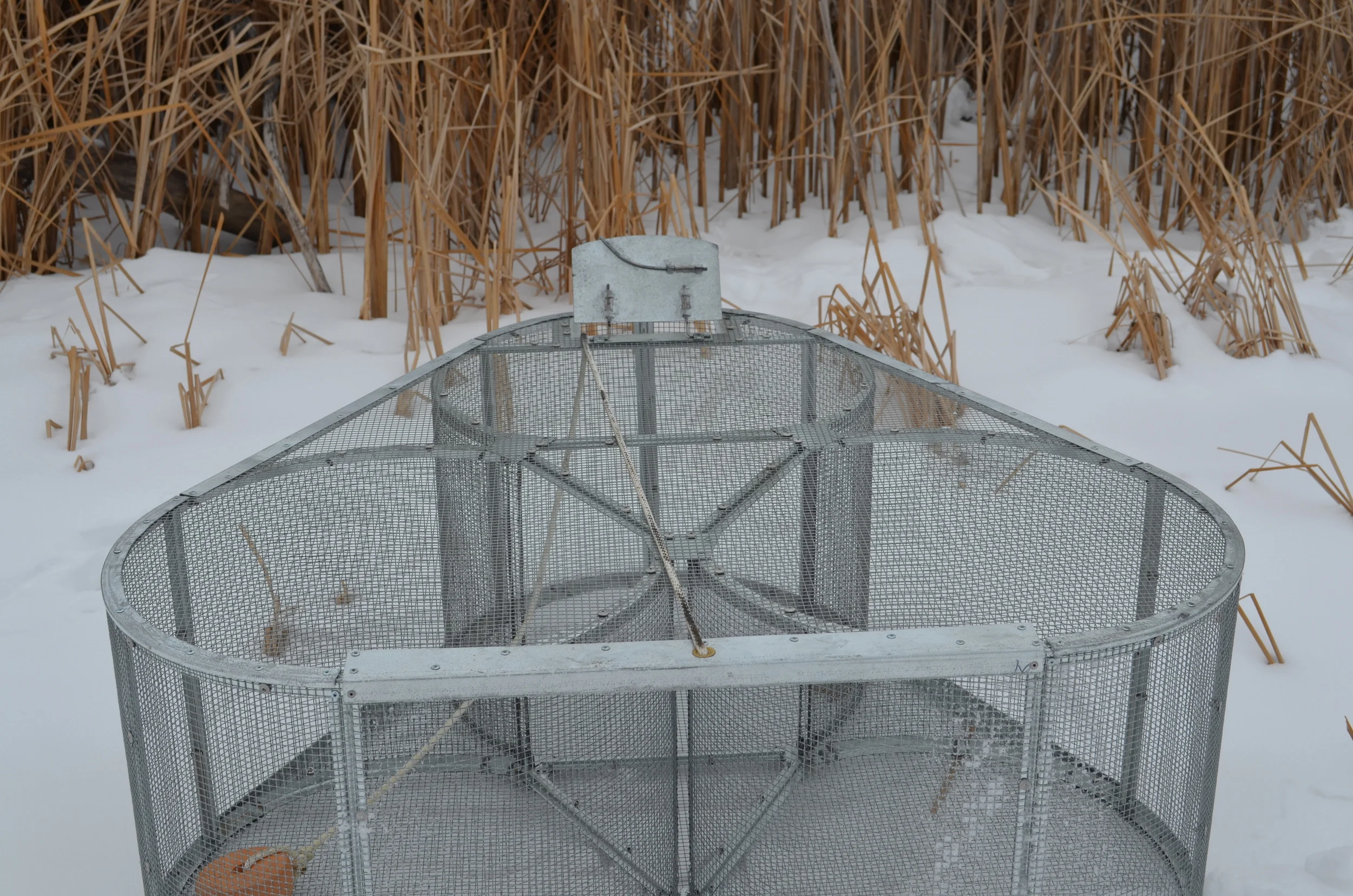 DSC_0527.JPG